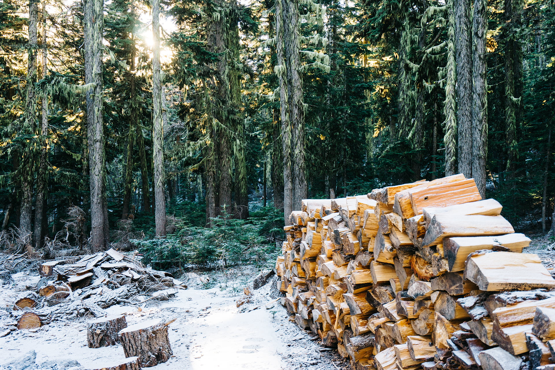 stack, tree trunk, trees, cord, daytime, firewood, industry, lumber, forest, trunk, woods, day, no people, wood - material, wood, brown, outdoors, deforestation, HD Wallpaper