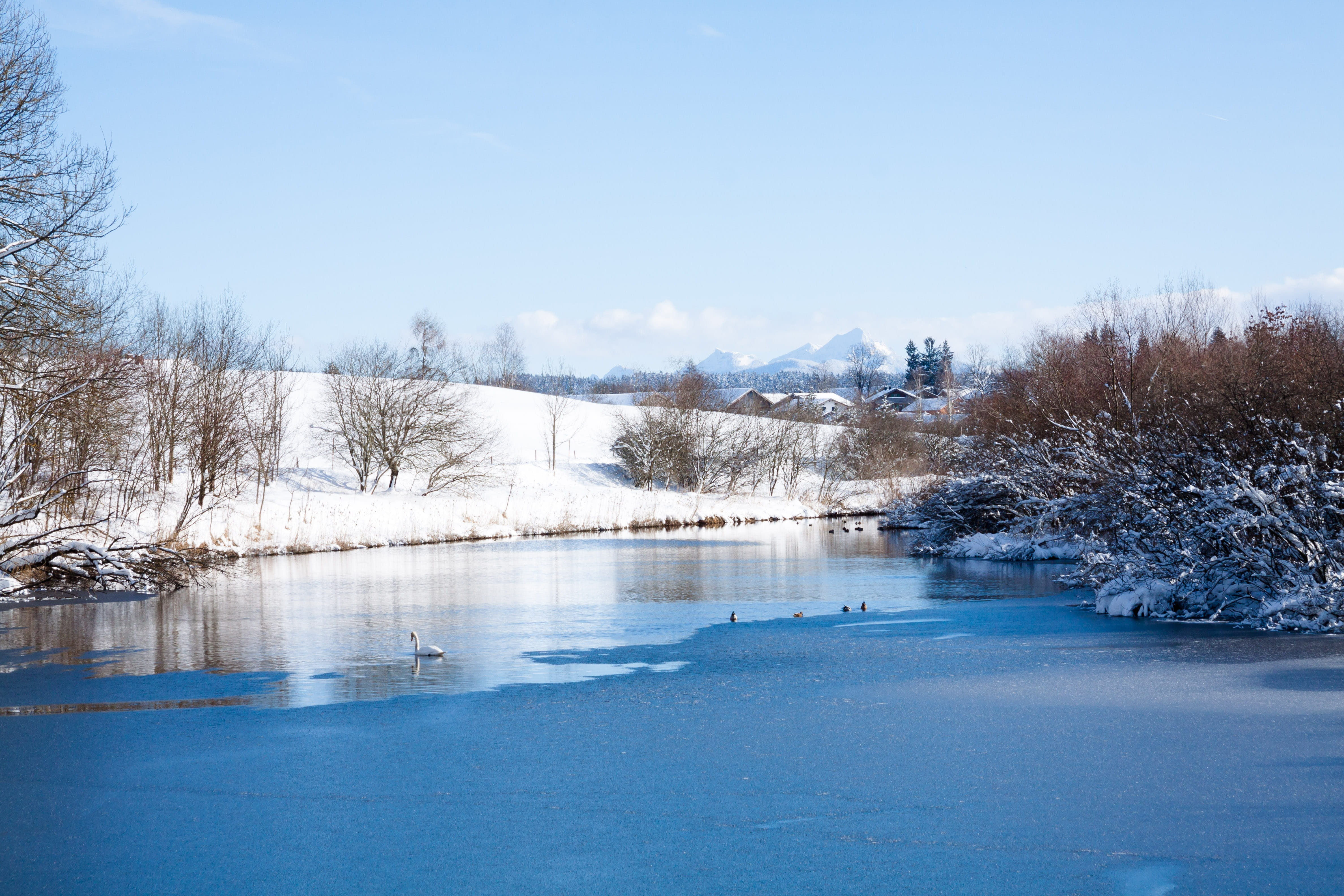 winter, Water, snow, sunny, Trees, coniferous tree, tranquility, 4K, outdoors, plant, frozen water, season, village, no People, water, waterfowl, landscape, HD Wallpaper