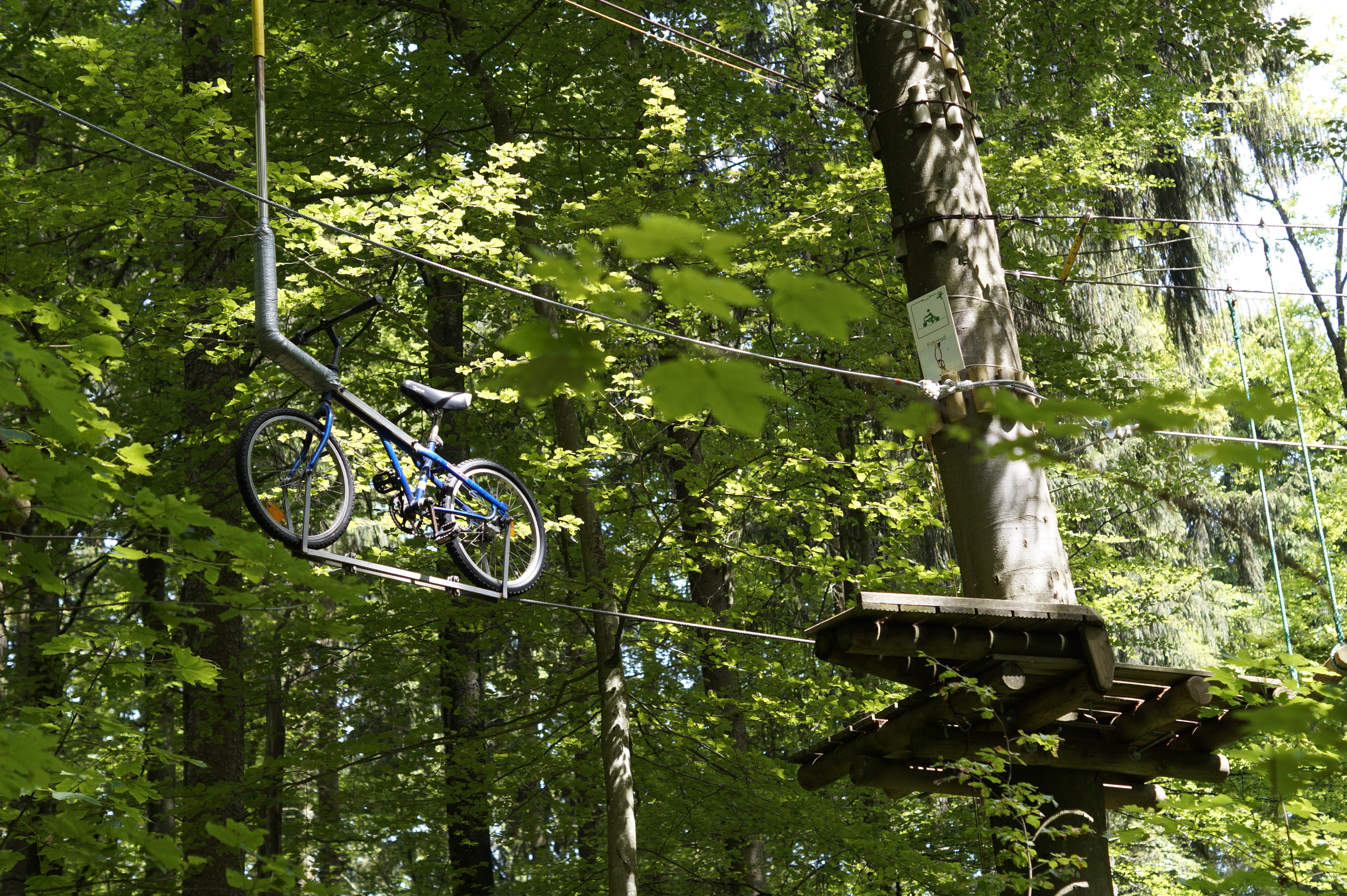 outdoors, high, tree, tree trunk, plant, day, forest, courageous, courage, hanging, climbing garden, bike, Climb, station, mode of transportation, get over, HD Wallpaper