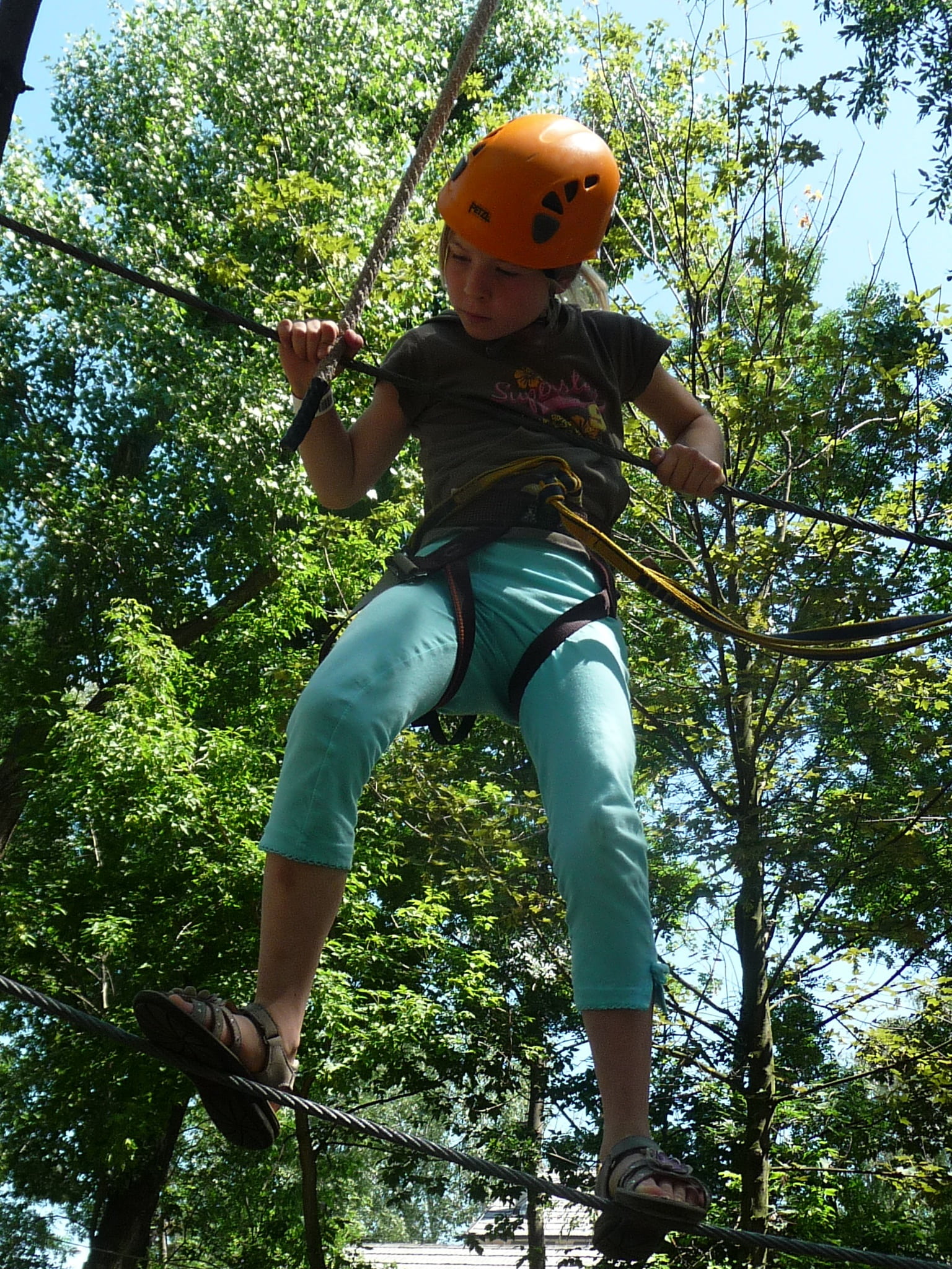 casual clothing, girl, real people, males, rope, adventure, fear, walking, tree, one person, exhausting, ropes course, high, leisure activity, fun, day, Phone HD Wallpaper