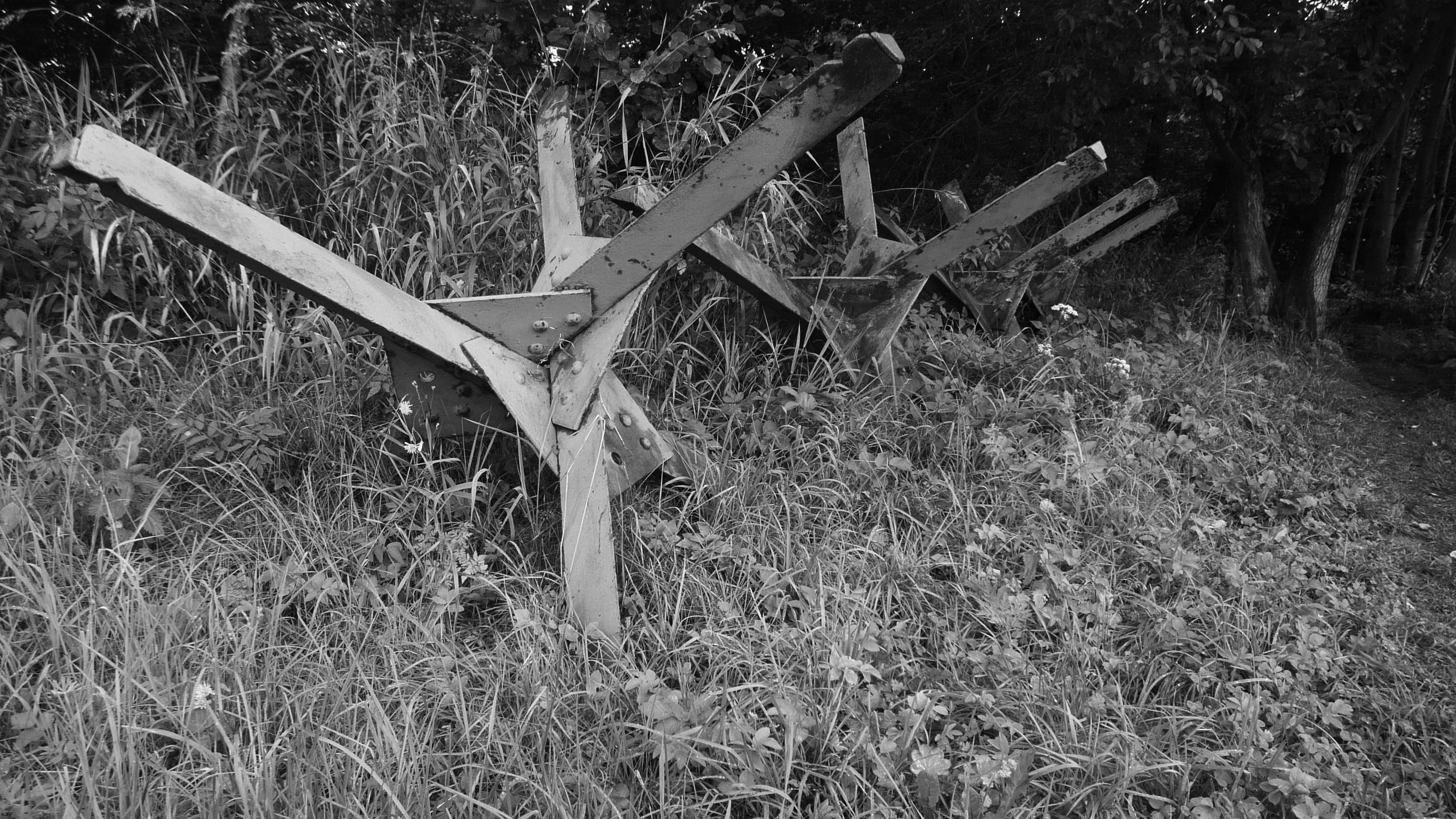 spirituality, wood - Material, bunker, growth, religion, tranquility, no People, tree, Protect, nature, Obstacle, Czech, Military, plant, obsolete, black And White, HD Wallpaper
