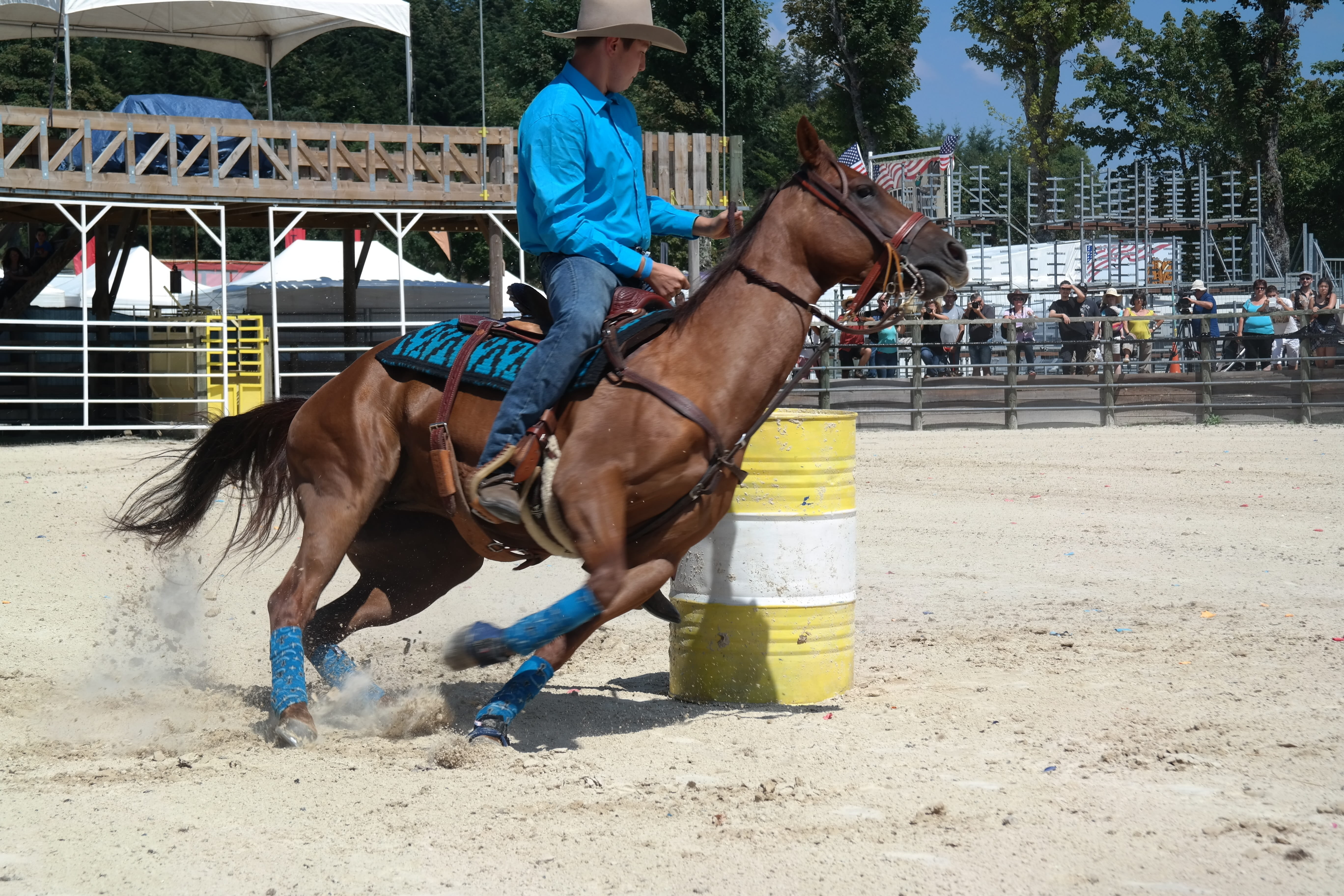 horseback riding, mane, horse racing, pets, lifestyles, jumper, mammal, trot, women, blues, country festival, festival equiblues, livestock, festival rodeo, HD Wallpaper