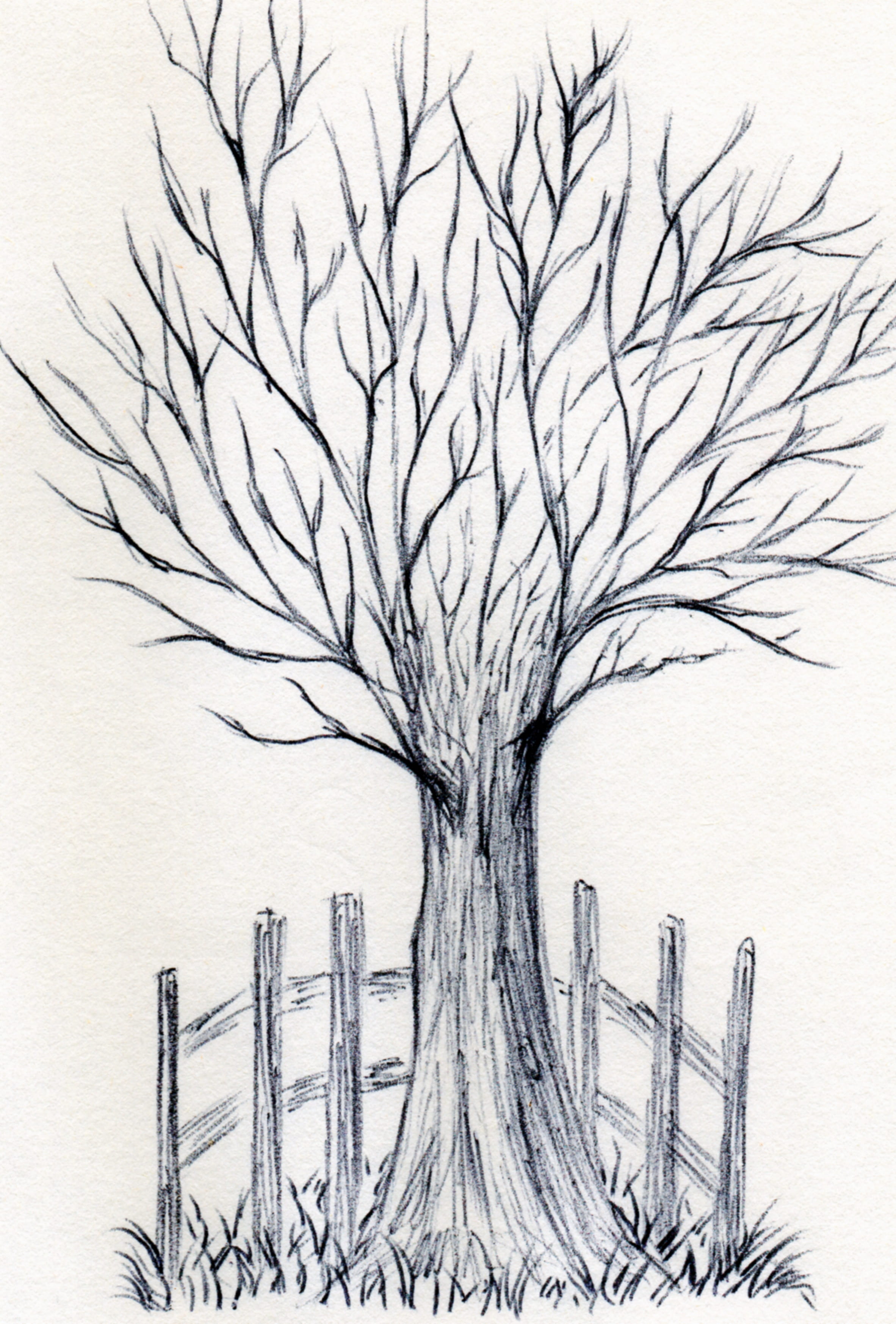 day, pen, bare tree, pattern, cold temperature, nature, outdoors, beauty in nature, art, white color, winter, plant, trunk, drawing, 2K, no people, dead plant, Phone HD Wallpaper
