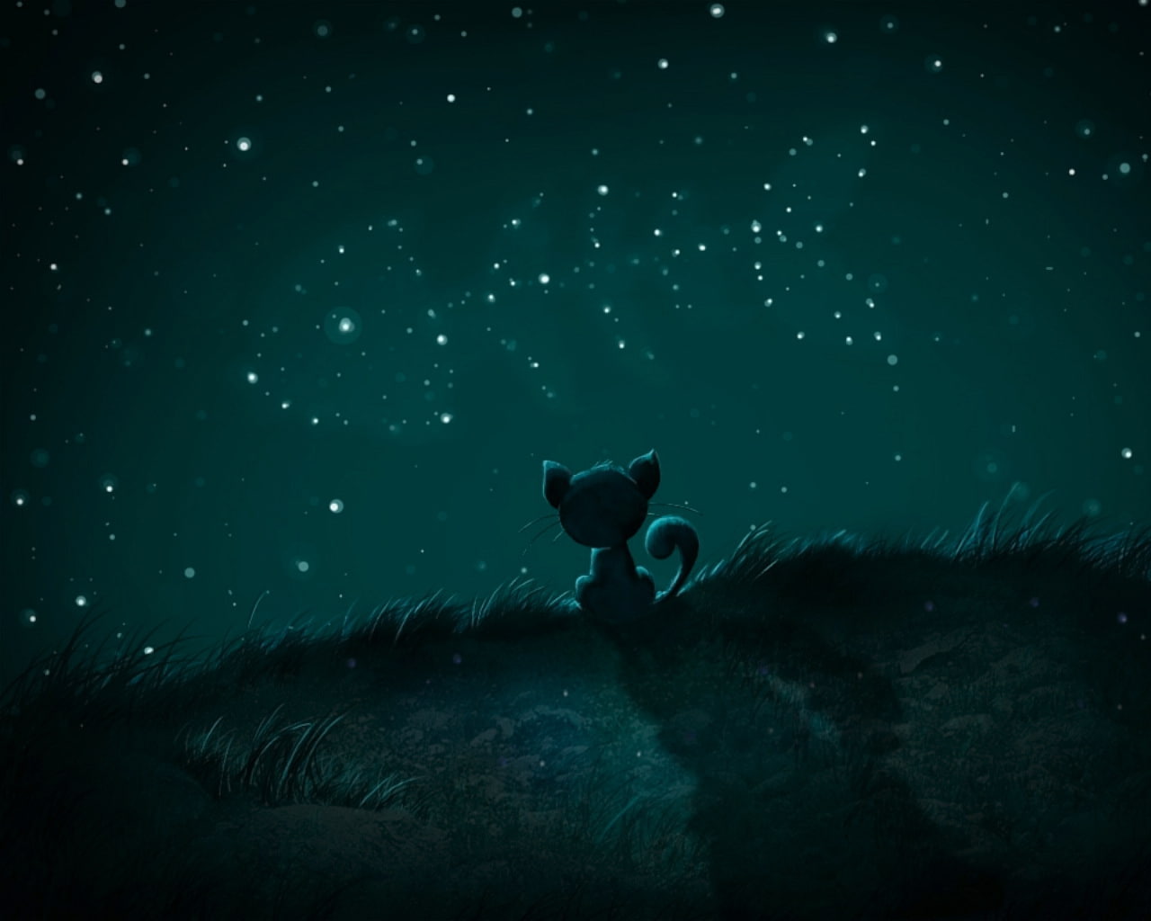 animals, cats, hd, drawn, stars, x, art, 720P, night, artwork, HD Wallpaper