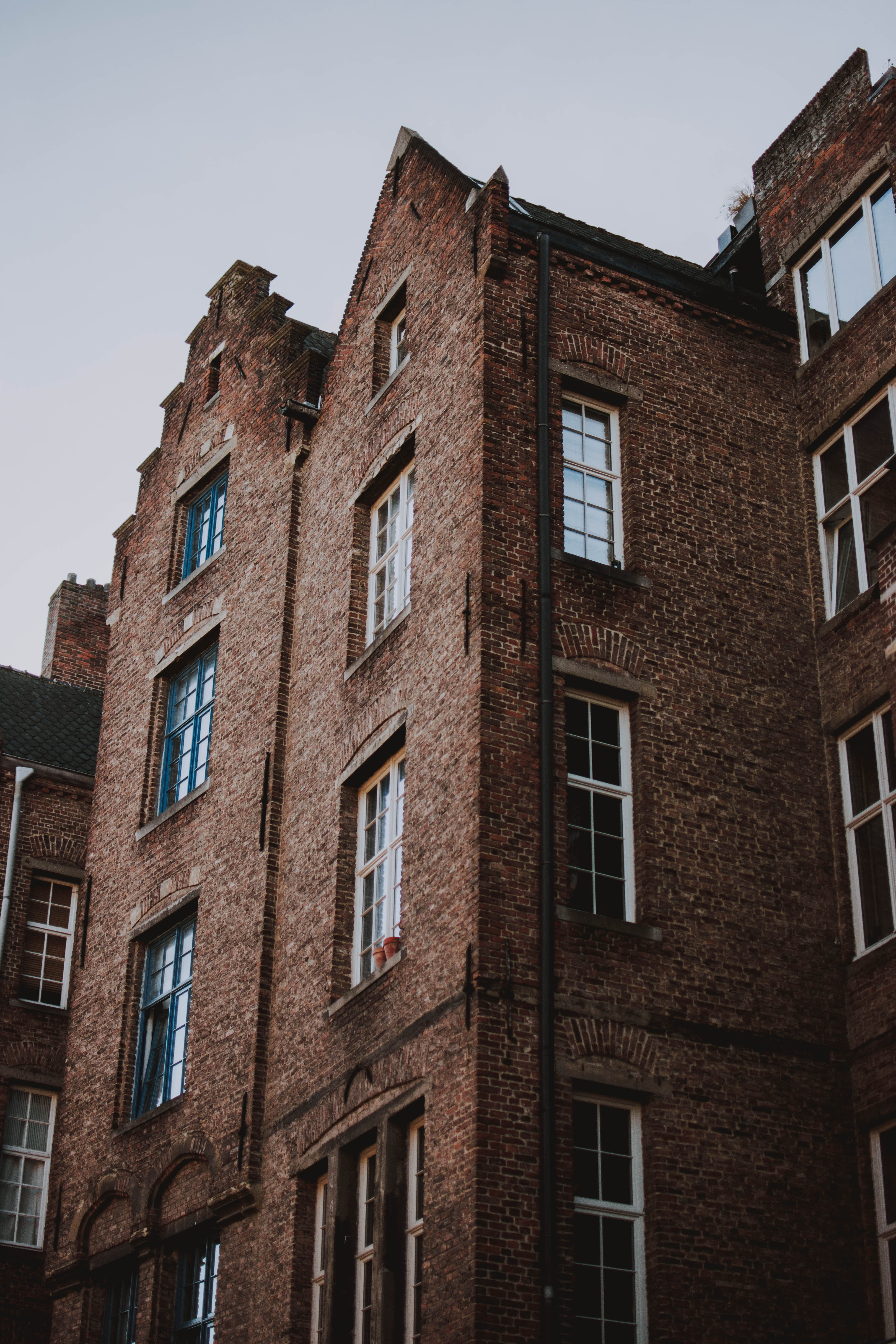 facade, low, clear sky, windows, apartment, low angle view, in a row, brown, glass - material, low angle photography, residential district, built structure, Phone HD Wallpaper