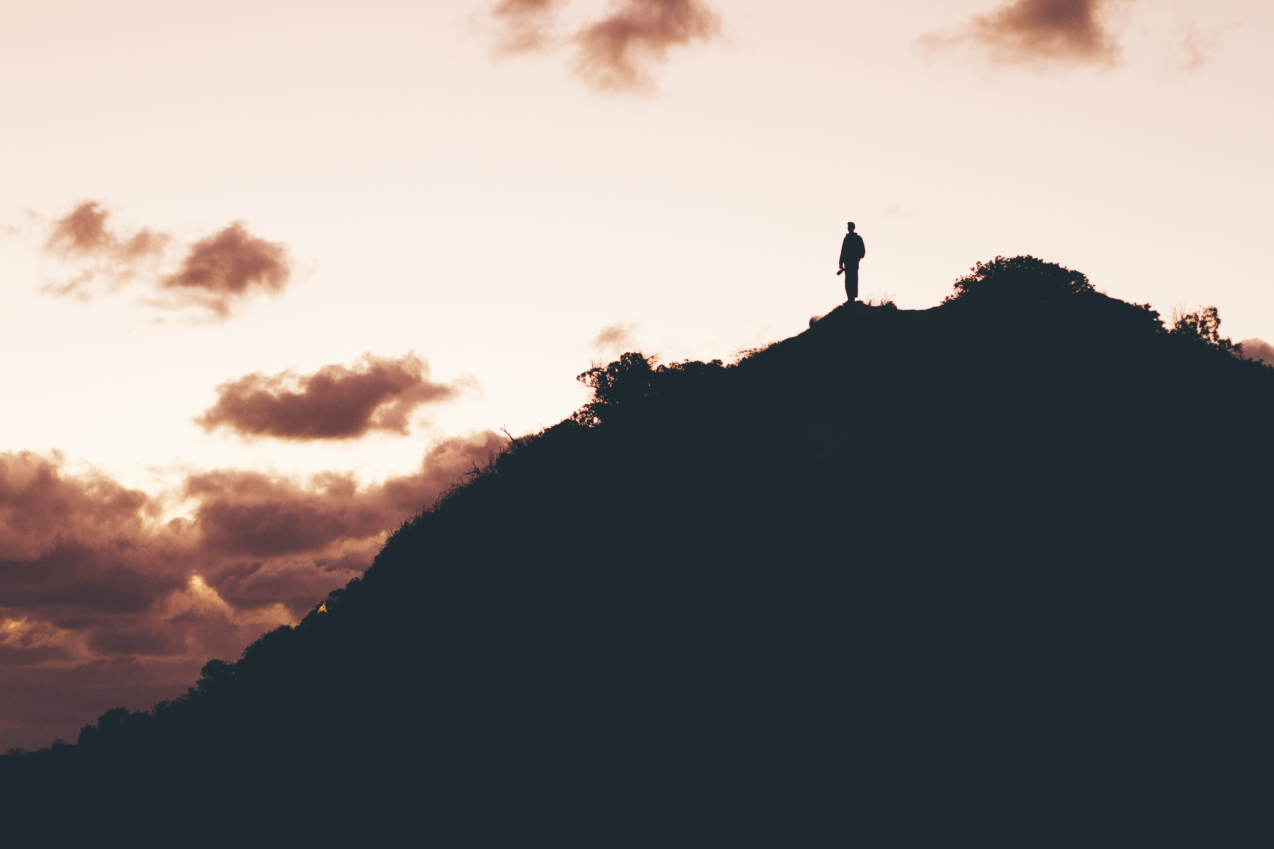 5K, one person, leisure activity, tree, outdoors, hiker, wild, scenics - nature, wilderness, man, spirituality, hill, top, standing, journey, land, sunset, HD Wallpaper
