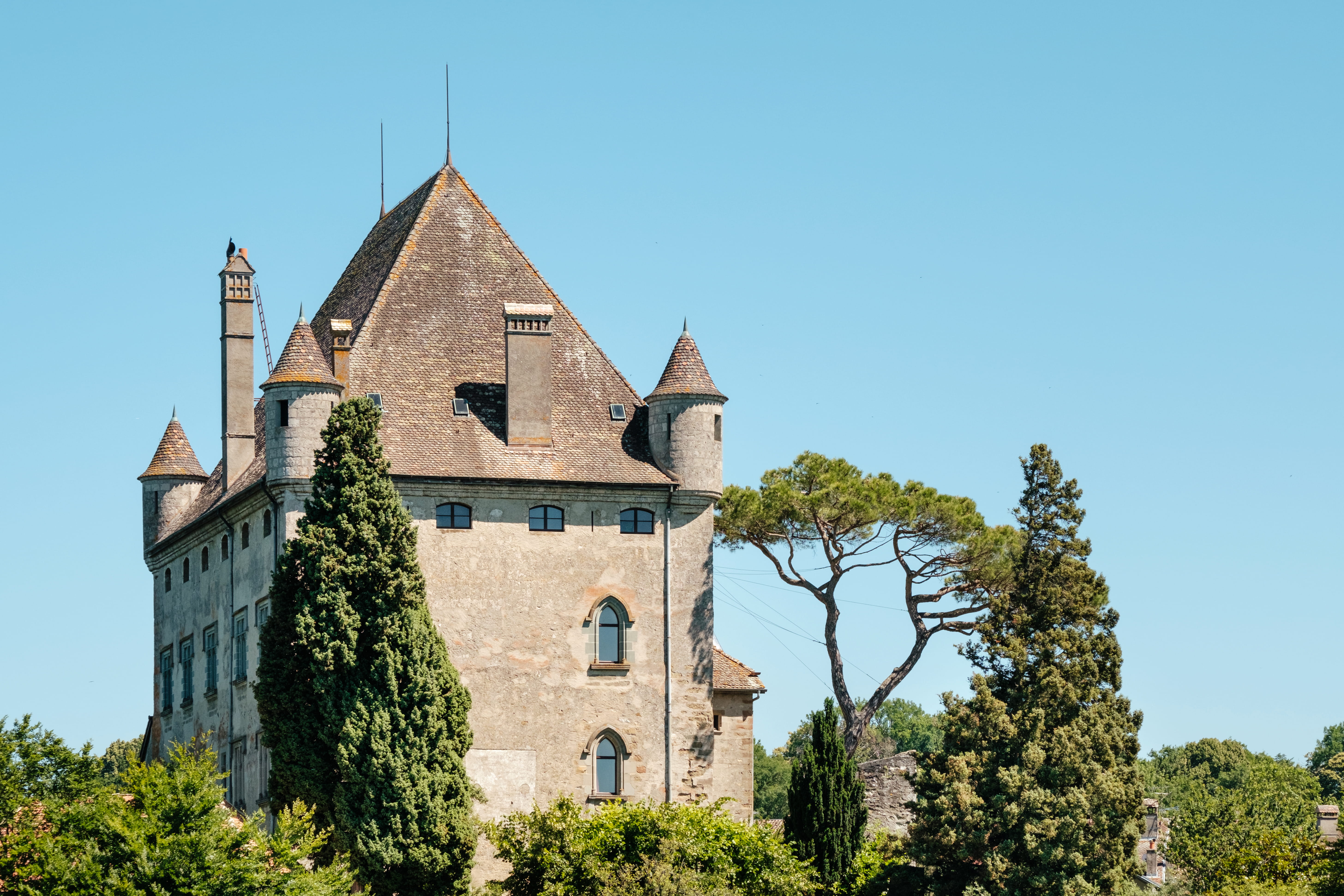 outdoors, built structure, tree, fir, gray, conifer, the past, history, building exterior, architecture, tower, castle, building, 5K, plant, abies, old, HD Wallpaper