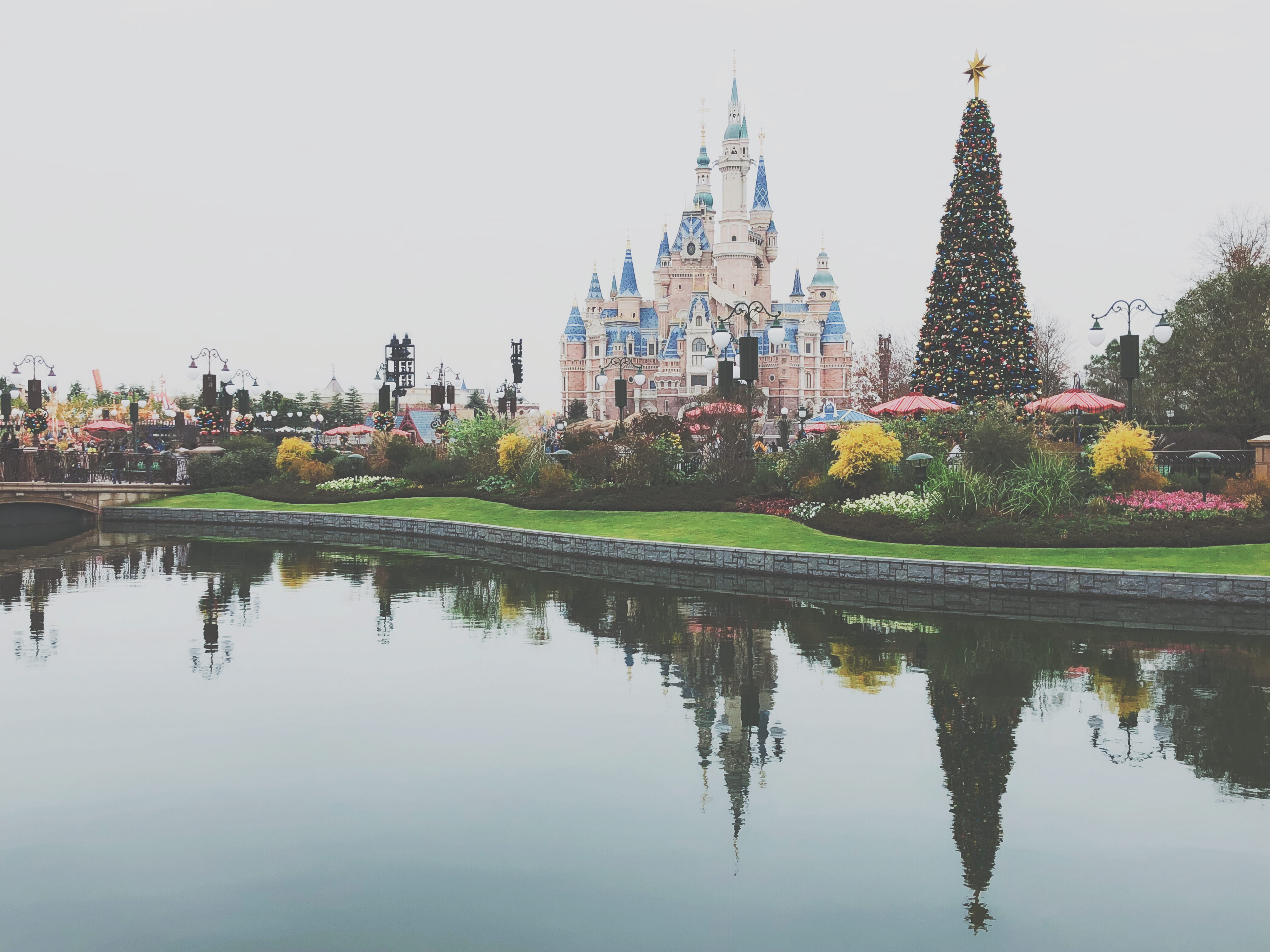 4K, built structure, ditch, spire, disneyland, architecture, spirituality, abies, tree, hong, building, christmas tree, amusement park, place of worship, HD Wallpaper