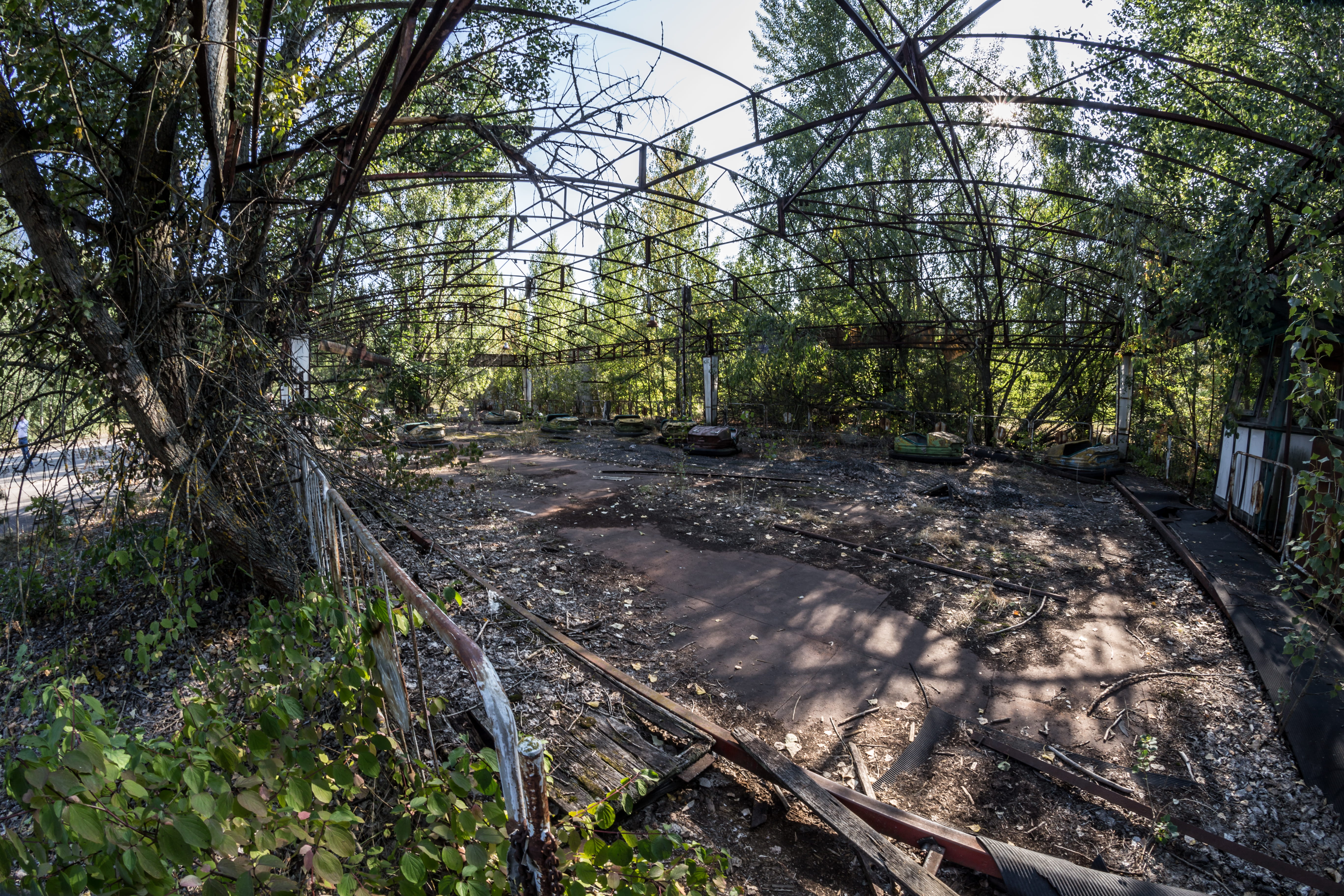environment, park, green color, grass, day, green, woodland, trunk, outdoors, tranquil scene, steel, branch, daylight, Chernobyl, flora, nature, abandoned, HD Wallpaper