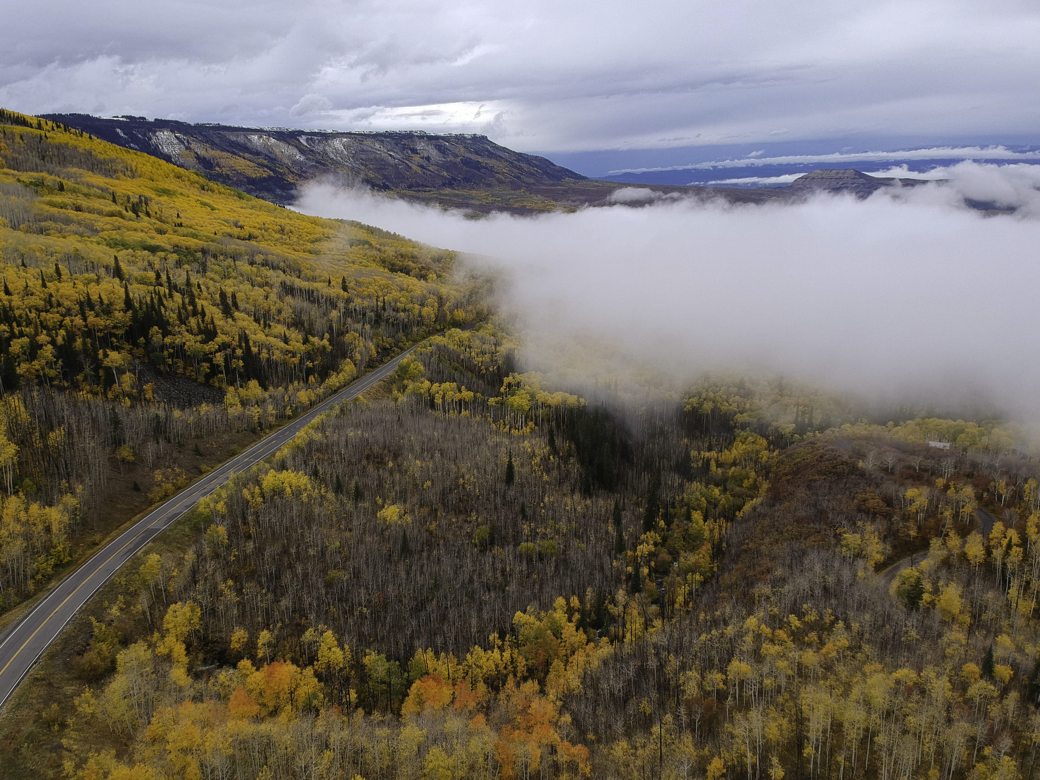 water, dji, beautiful, leafed, daylight, leaves, autumn colors, cloudy sky, orange, sight, scenics - nature, lake, colorado, forest, fall, season, tree, HD Wallpaper