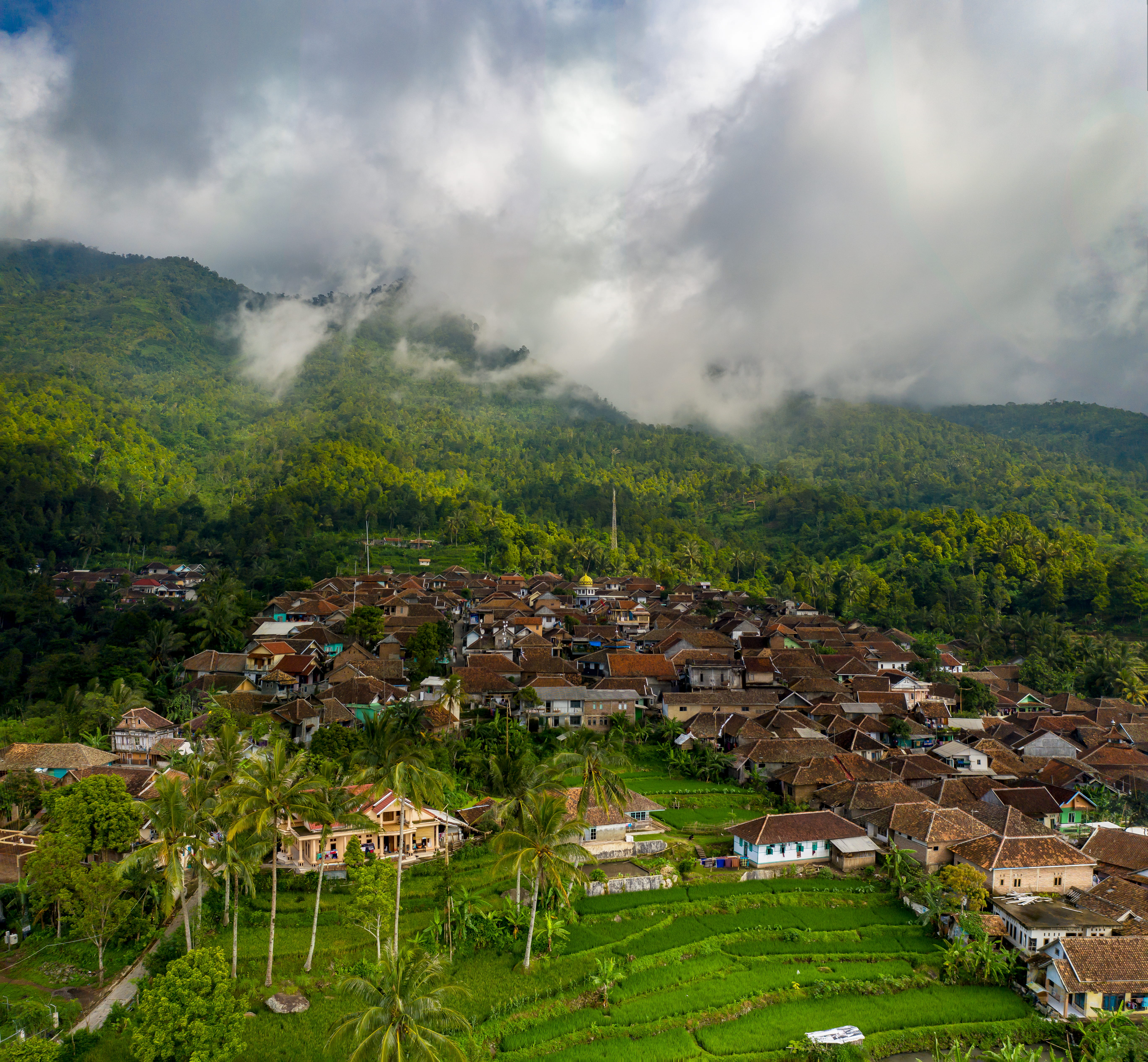 plant, aerial photography, building, high angle view, colors, rice, sky, growth, landscape, daylight, no people, grass, drone footage, townscape, aerial s, HD Wallpaper