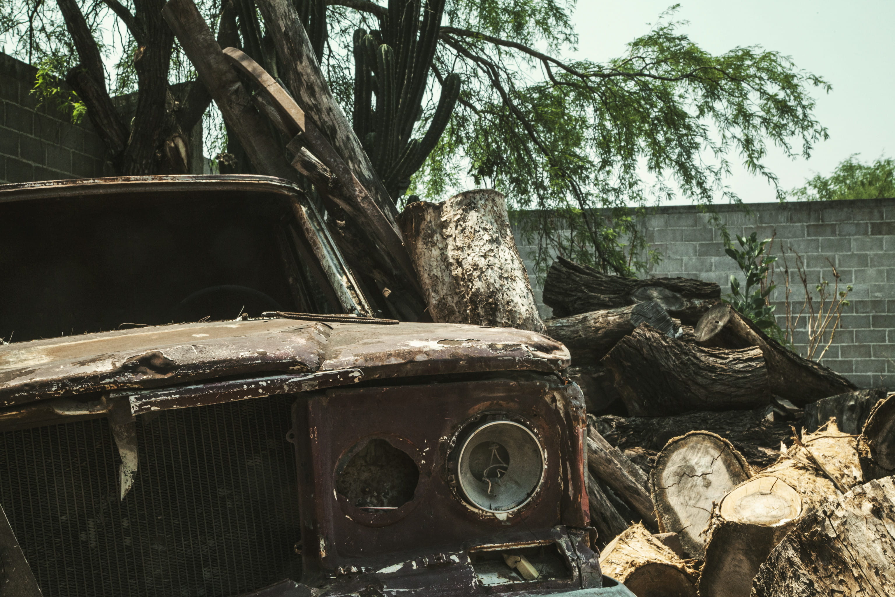 transportation, rusty, tree log, nature, no people, old car, branch, obsolete, destroyed, land vehicle, abandoned, plant, mode of transportation, tire, HD Wallpaper