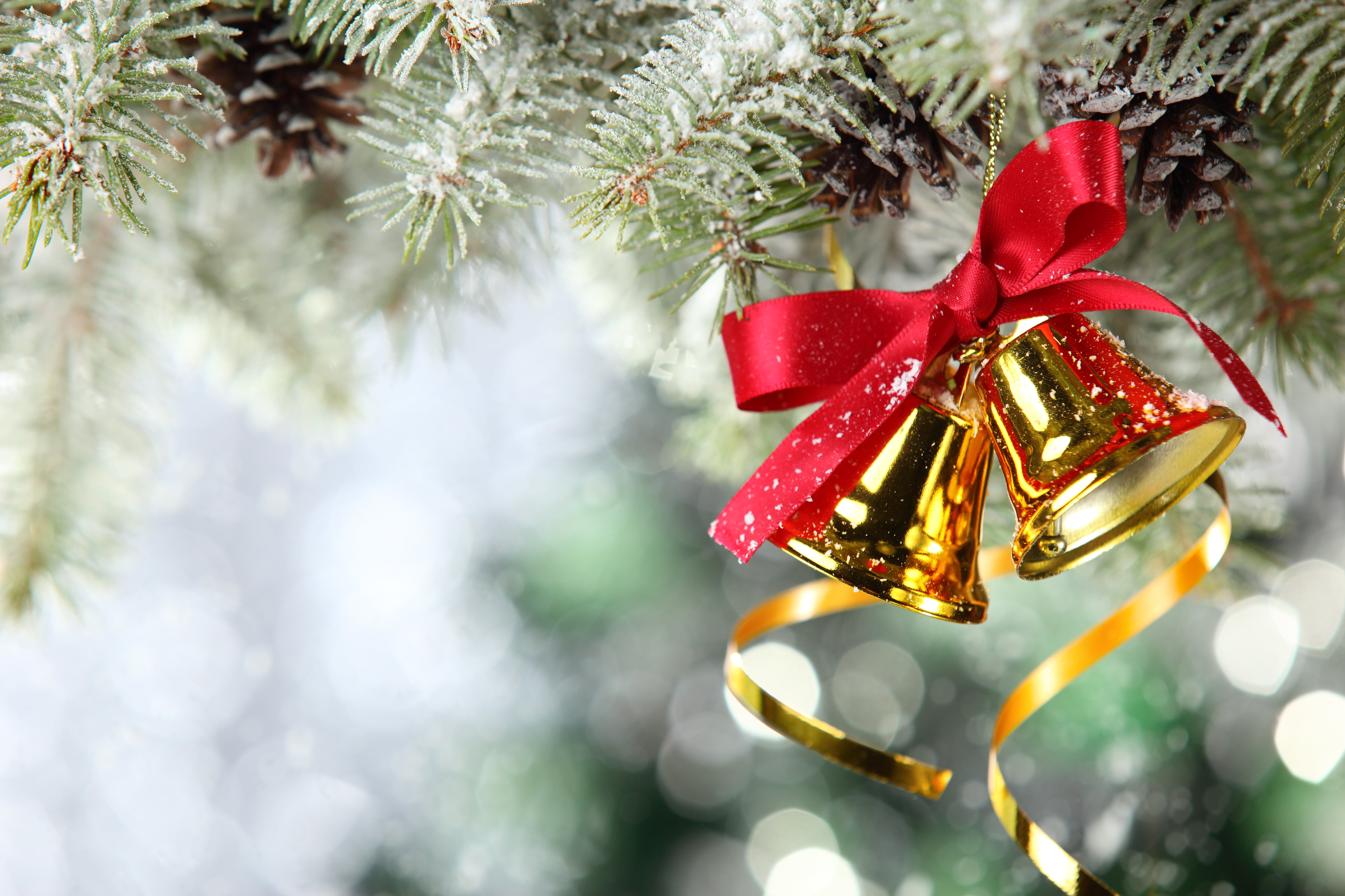 branch, bow, holiday - event, silver colored, backgrounds, pine Tree, glitter, defocused, celebration event, tree, gift, gold, decoration, cultures, bells, HD Wallpaper