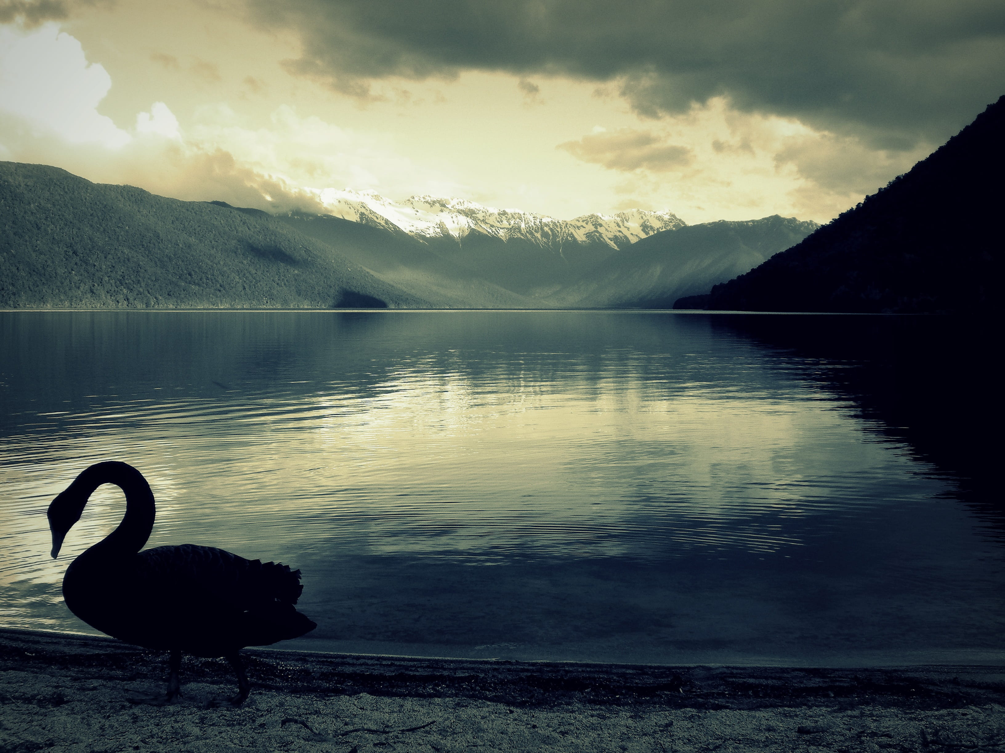 silhouette, sky, Lake, animal, mountain, Birds, 2K, animal wildlife, cloud - sky, tranquility, bird, black, lake, Mystical, scenics, vertebrate, landscape, HD Wallpaper