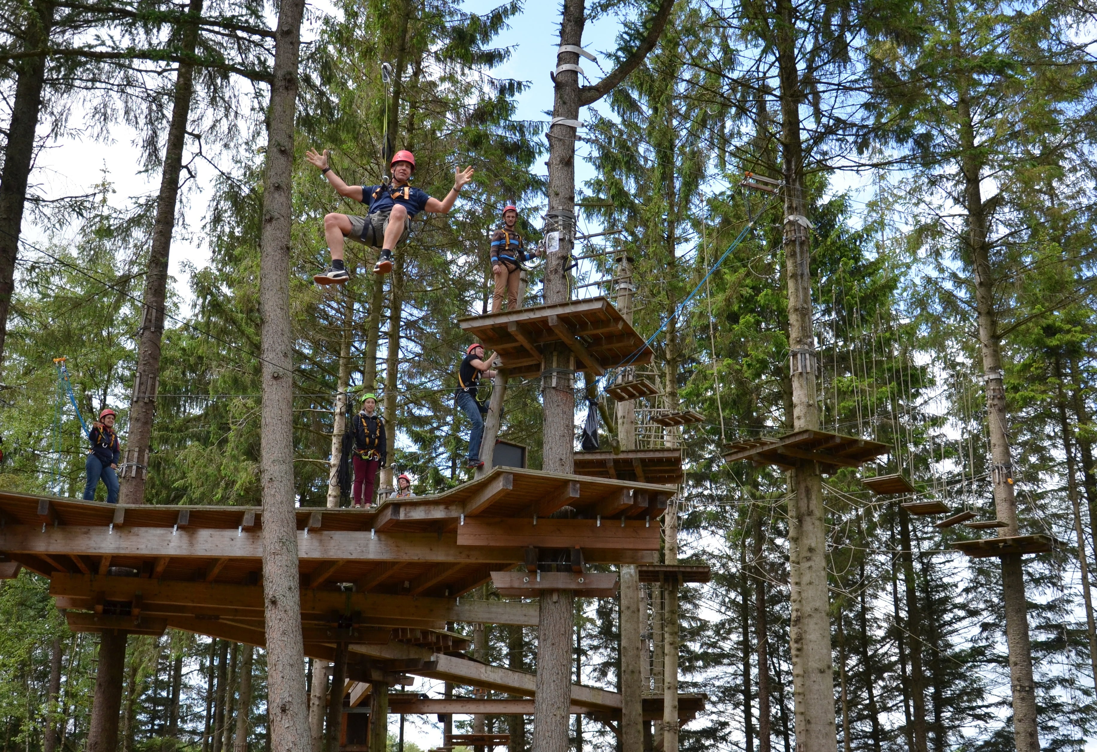 land, plant, tree trunk, lifestyles, day, outdoors, forest, nature, climbing forest, wood - material, tree, 2K, built structure, drex, group of people, HD Wallpaper