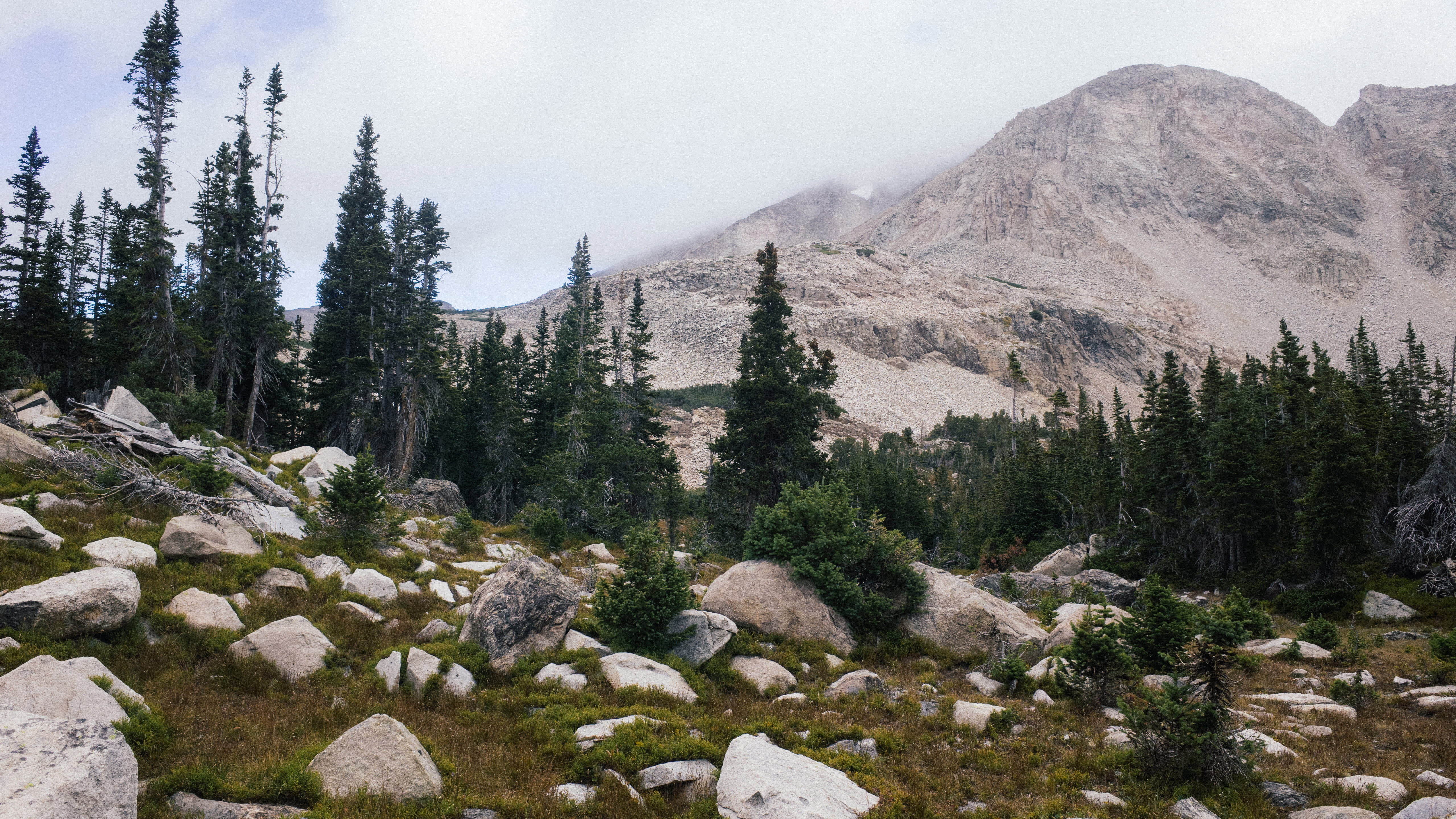 tree, nature, trees, rock, plant, outdoors, blue lake, landscape, scenics - nature, tranquility, coniferous tree, sky, rocks, no people, usa, 5K, rain, HD Wallpaper