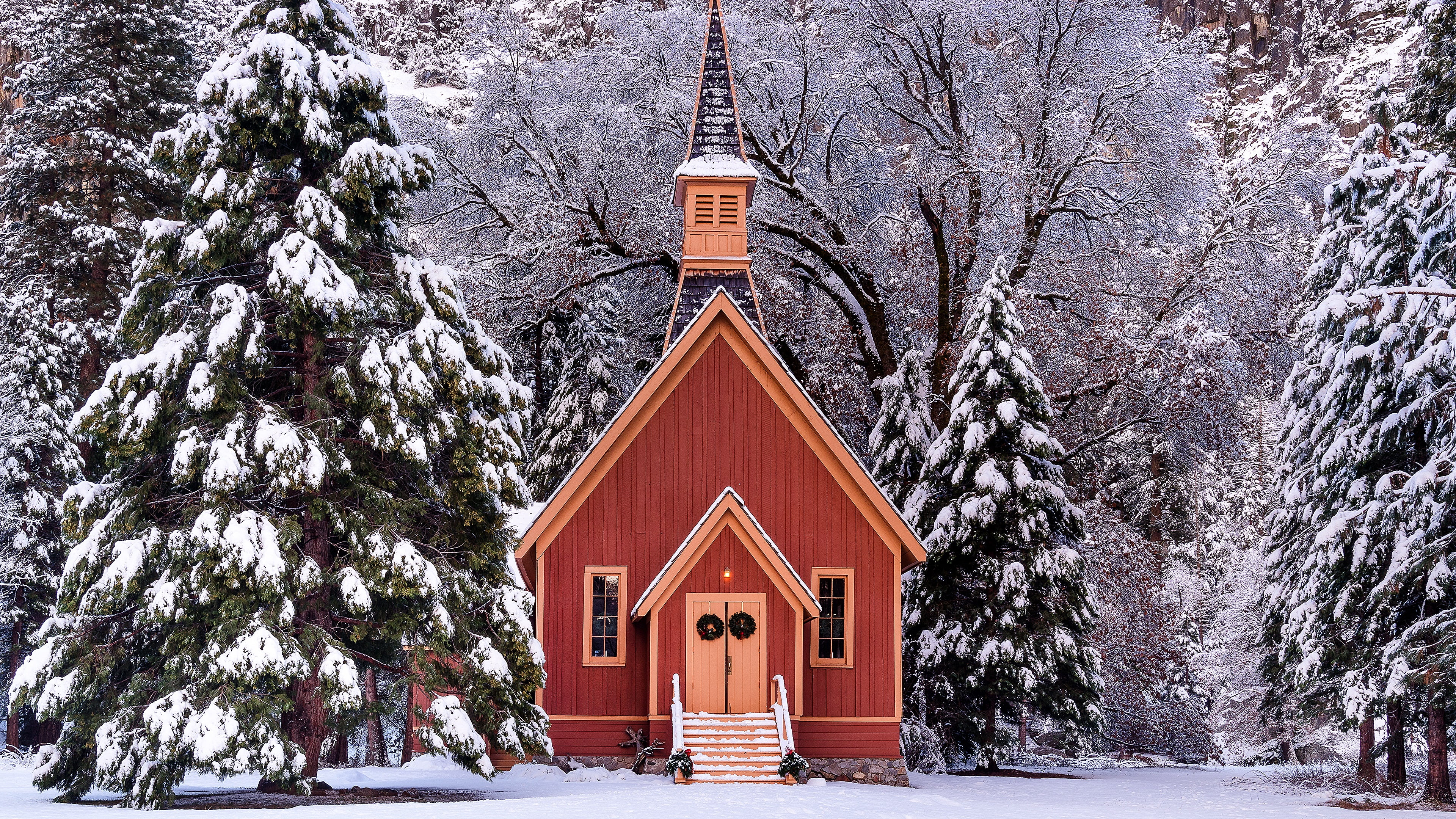 yosemite national park, california, tree, house, yosemite valley chapel, built structure, belief, yosemite valley, chapel, hut, building exterior, day, HD Wallpaper
