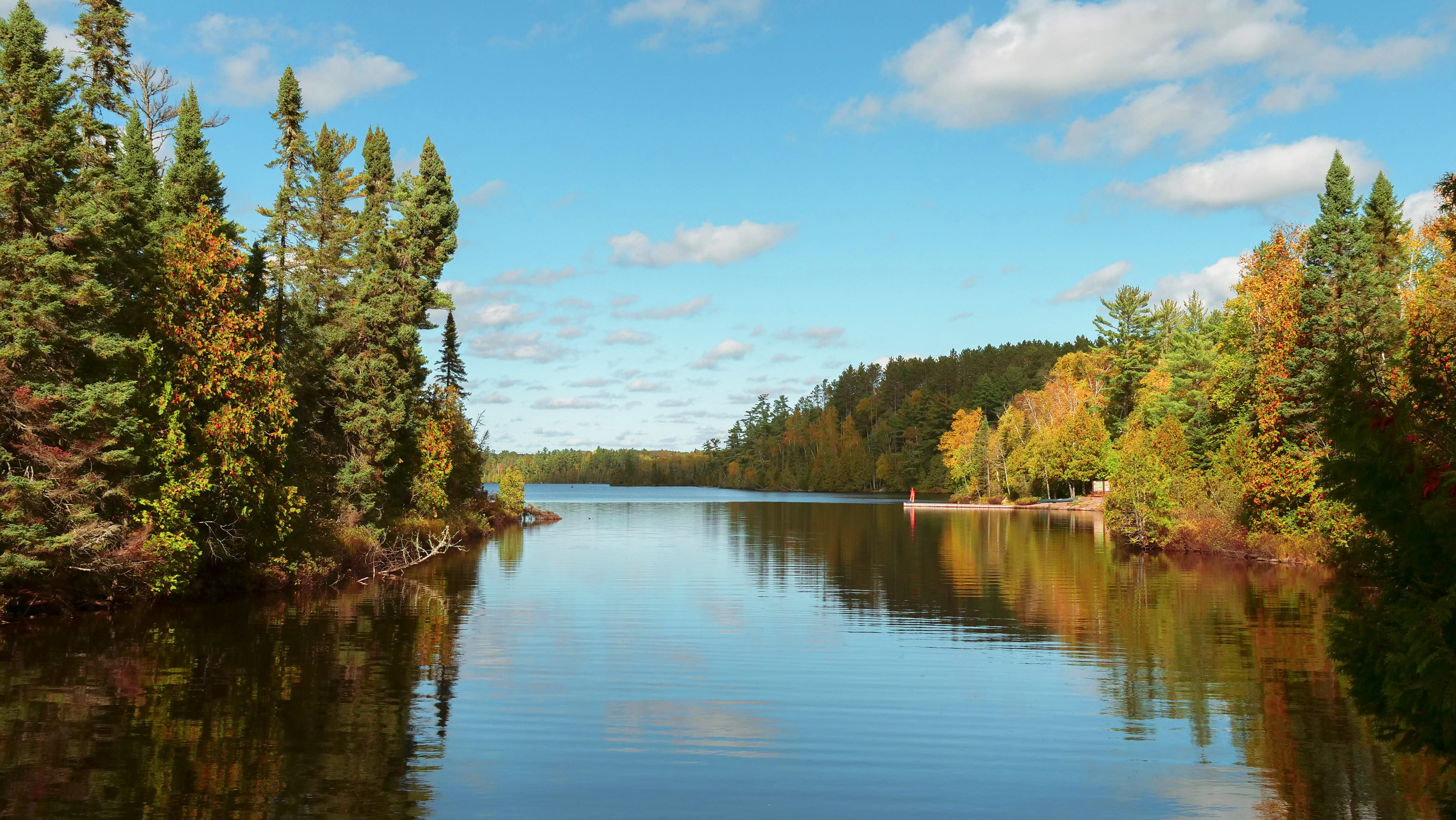 scenics - nature, lake, reflections, tree, tranquil scene, beauty in nature, tranquility, non-urban scene, change, water, no people, autumn, reflection, HD Wallpaper