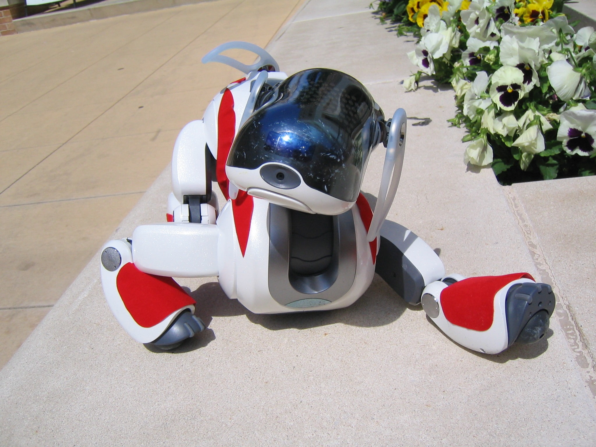 safety, auto racing, aibo, helmet, nature, transportation, 1080P, robot, high angle view, sports race, sports helmet, crash helmet, uniform, mode of transportation, HD Wallpaper