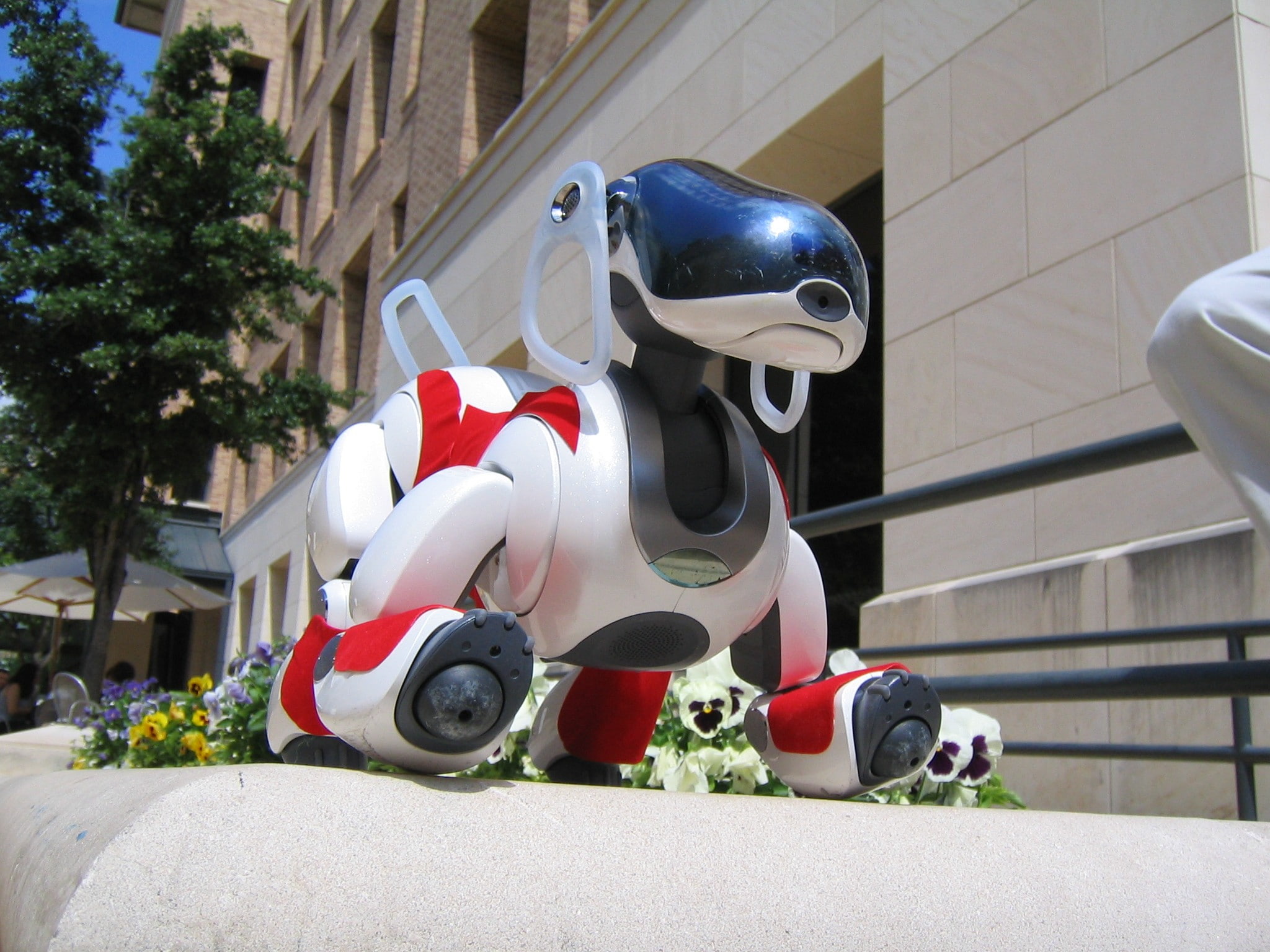 no people, day, built structure, helmet, animal representation, aibo, transportation, chrome, sunlight, technology, creativity, representation, plant, building exterior, HD Wallpaper