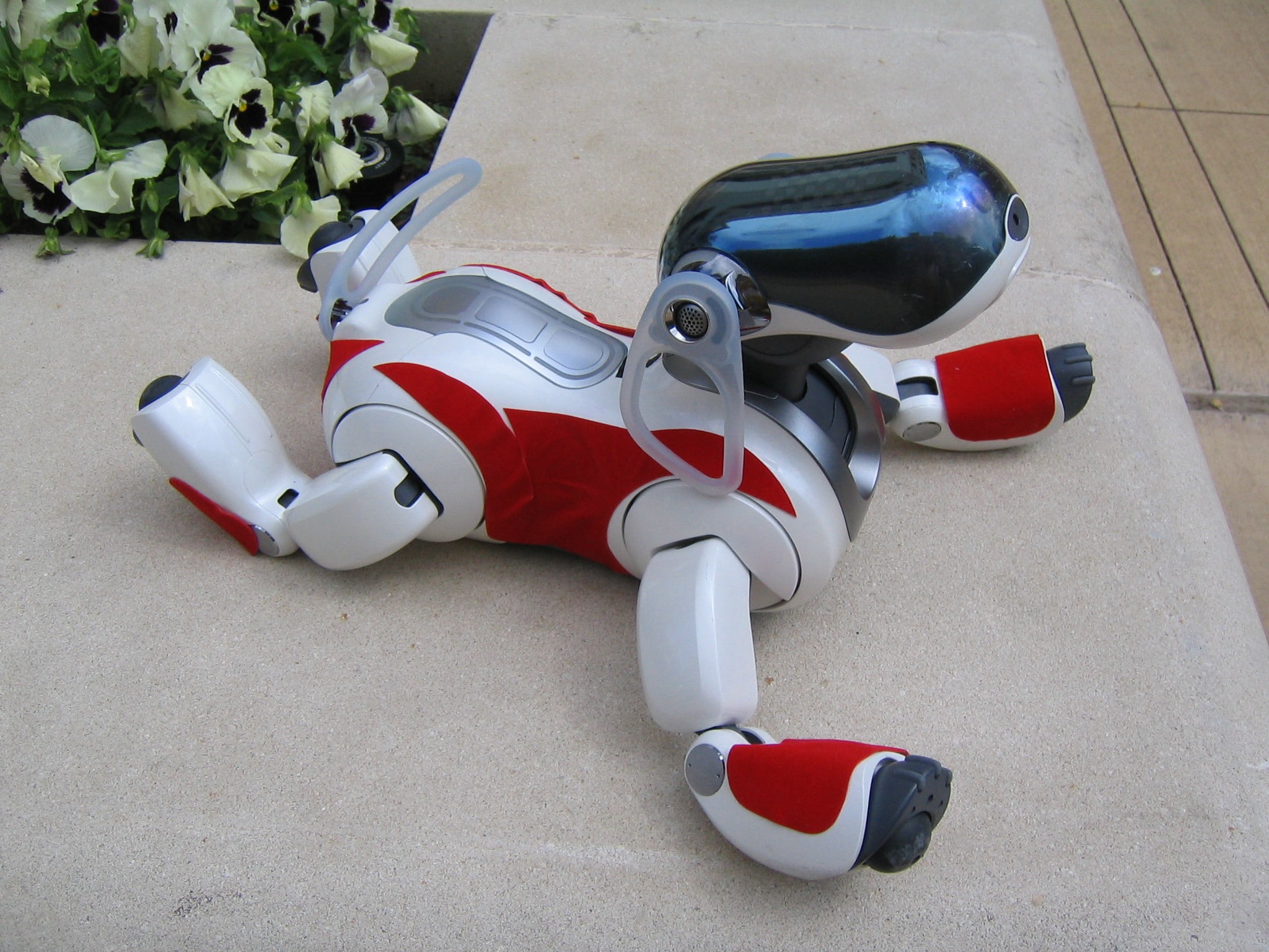 plastic, shoe, robot, representation, toy, nature, high angle view, plant, animal representation, aibo, personal accessory, still life, transportation, HD Wallpaper