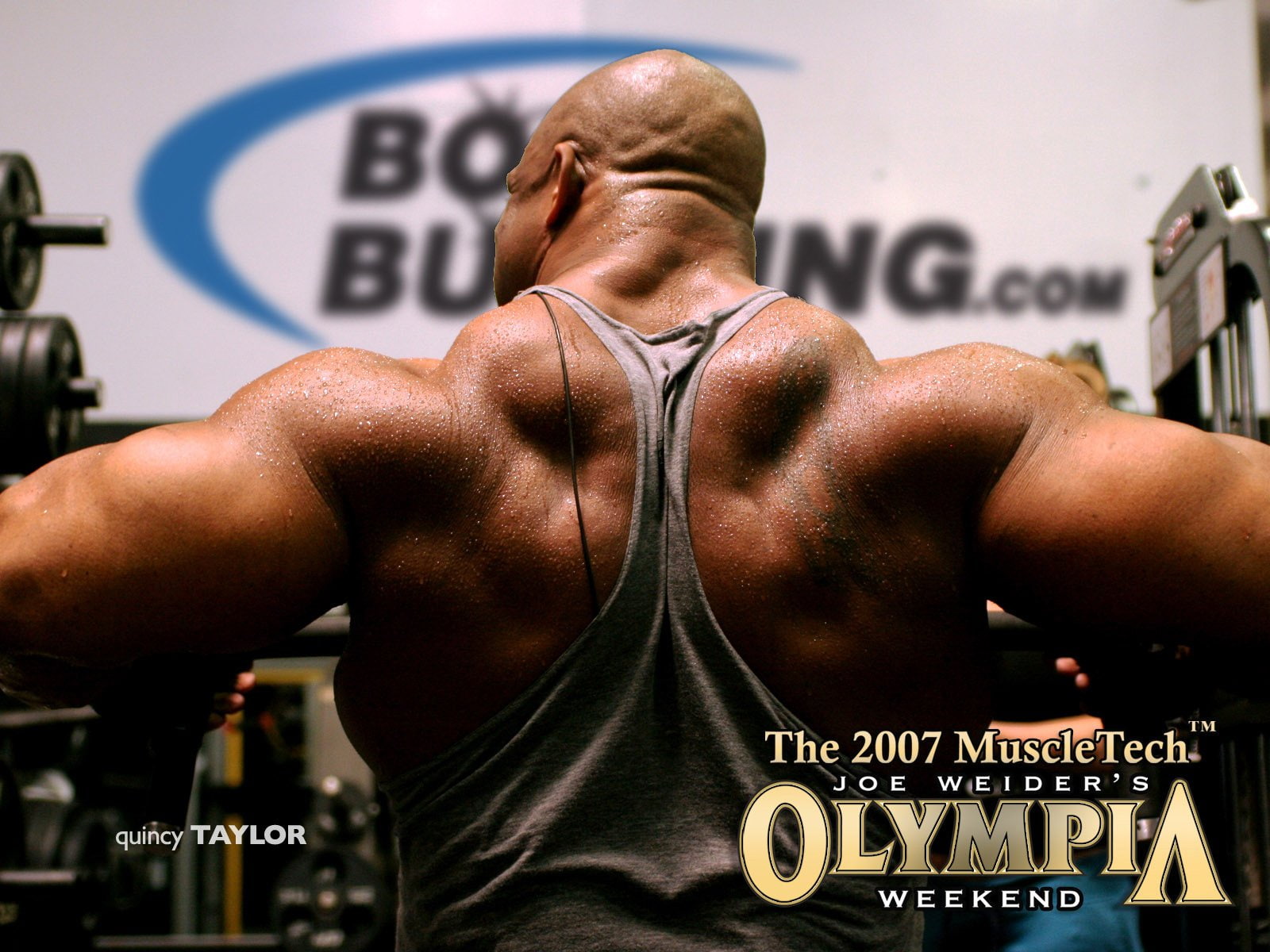 lifting, muscle, weight, muscles, 720P, fitness, body building, bodybuilding, HD Wallpaper