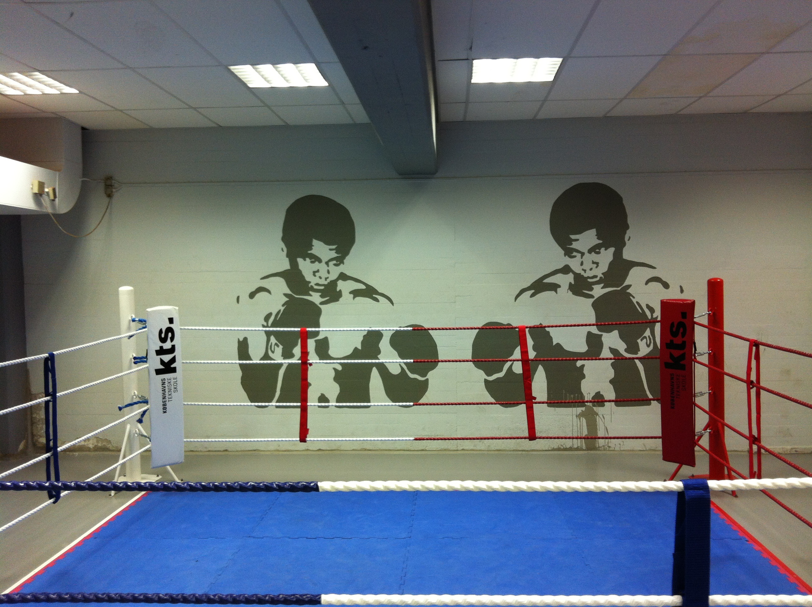 ceiling, human representation, lighting equipment, fight, showing, empty, no people, ring, illuminated, person, wall - building feature, gym, sports equipment, HD Wallpaper