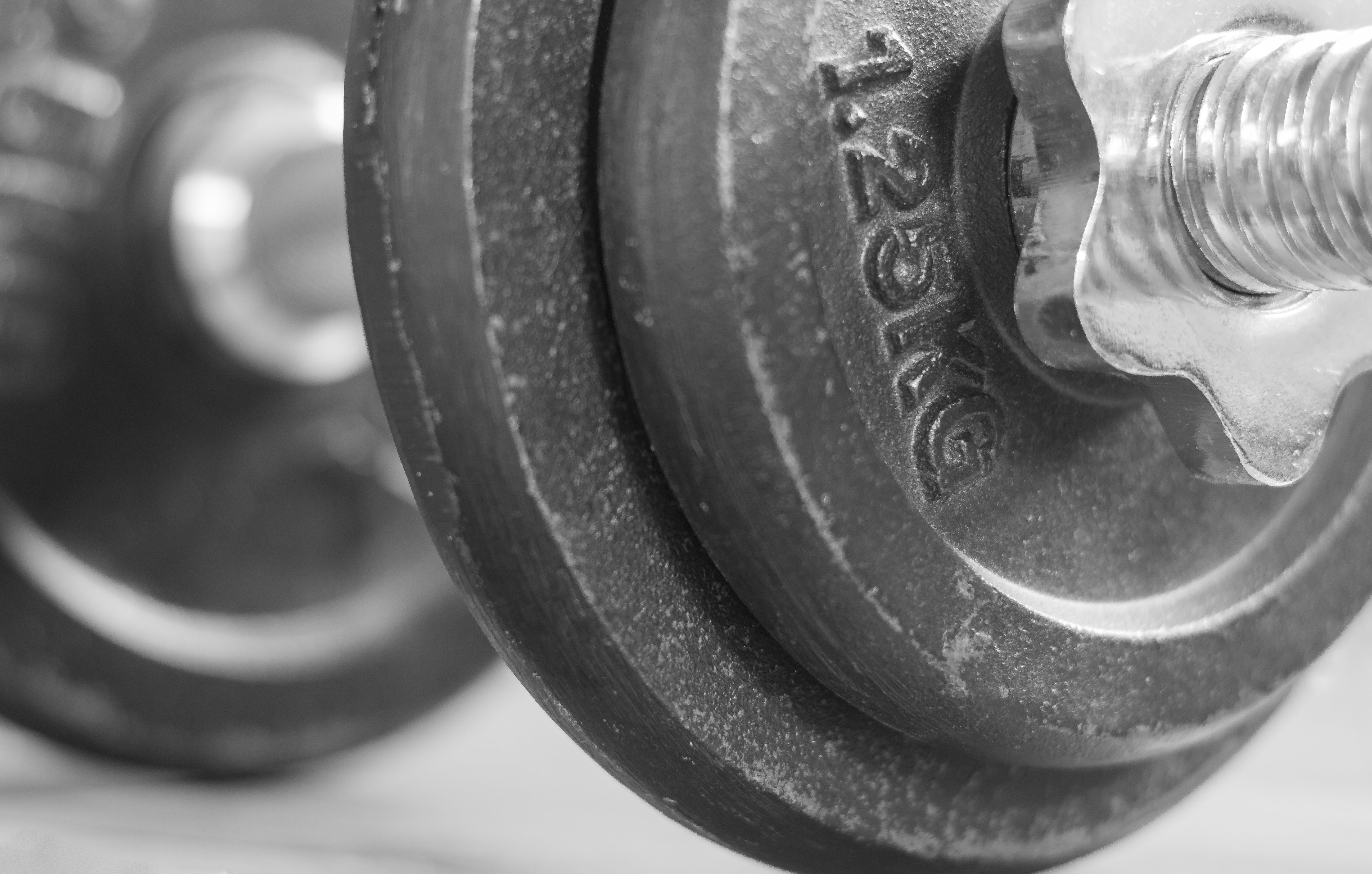 protection, disk, sports Training, transportation, weights, body Building, single object, white background, healthy Lifestyle, equipment, weightlifting, HD Wallpaper