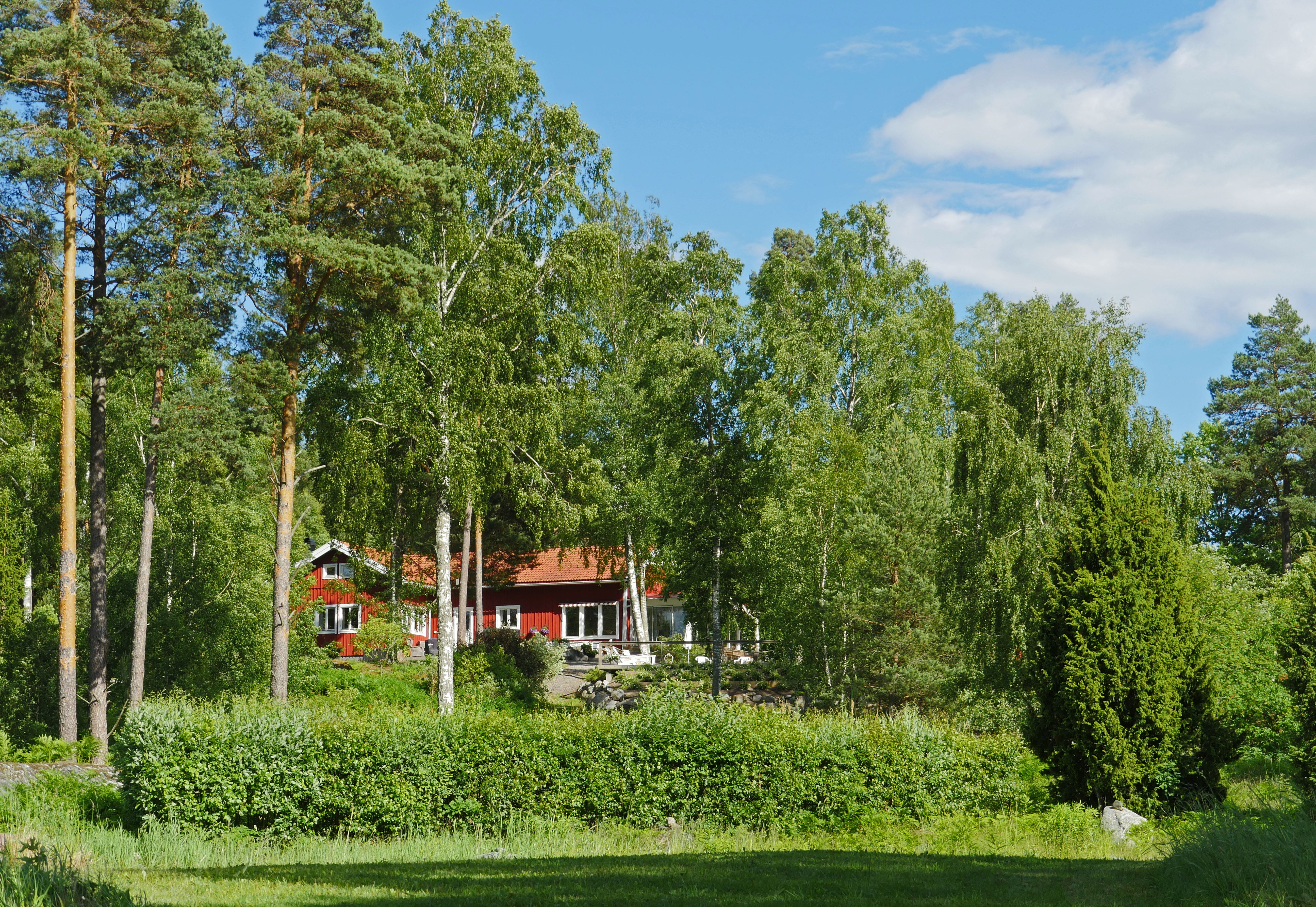holiday house, 5K, sweden, nature, day, no people, mälaren, sky, forest, grass, pine, idyllic, sunlight, tranquility, building exterior, outdoors, growth, HD Wallpaper