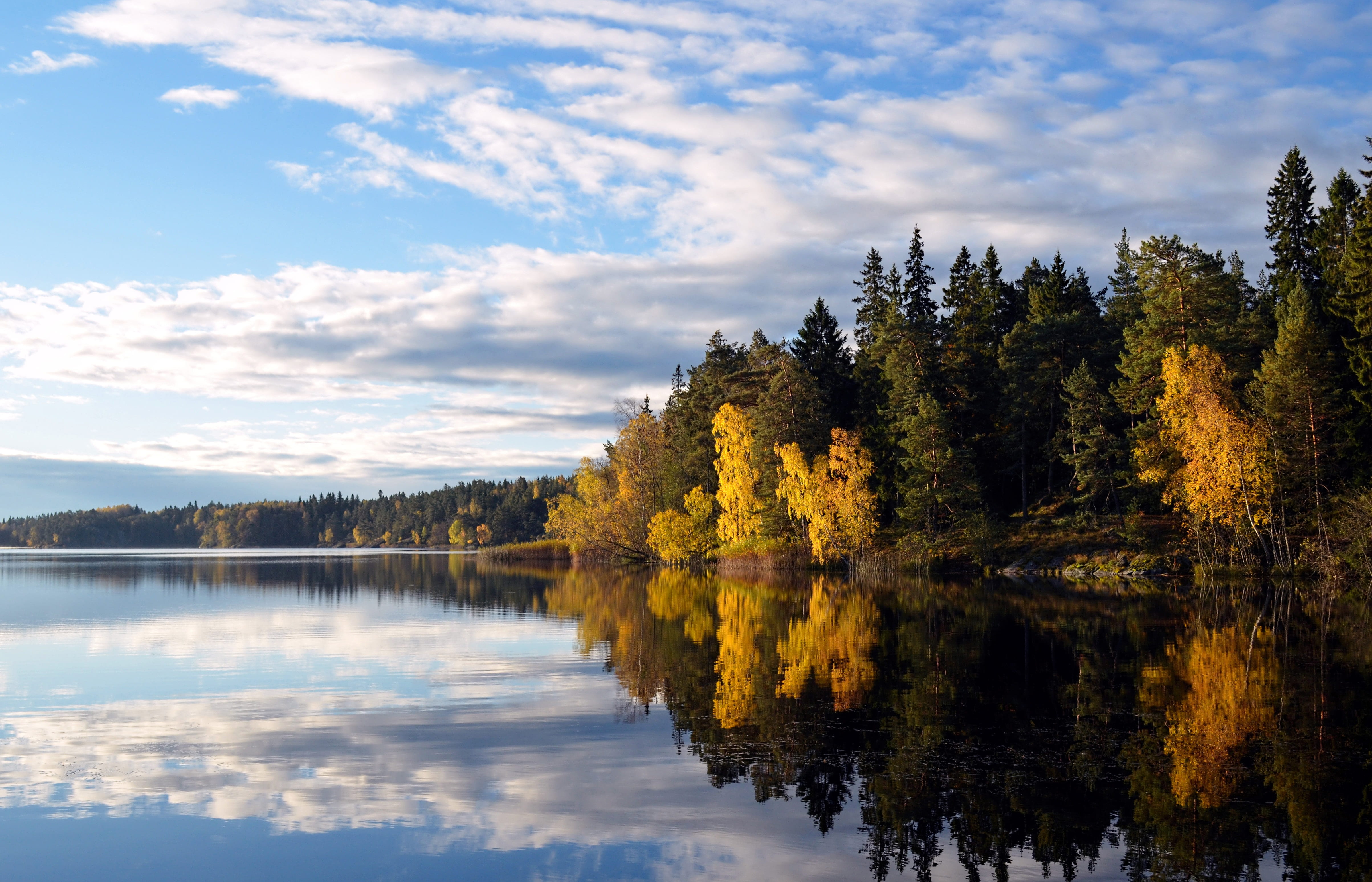 day, water, non-urban scene, forest, beside, reflection lake, sky, trees, daytime, lake, sweden, reflection, beauty in nature, mirror image, cloud - sky, HD Wallpaper