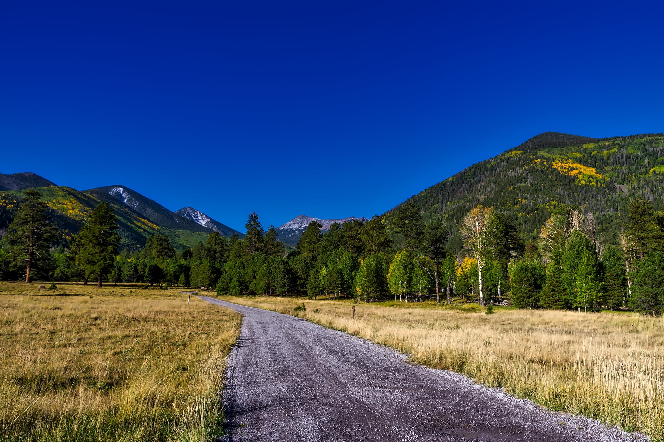 valley, landscape, meadow, foliage, blue, travel, 1080P, colorful, autumn, coconino national forest, country, mountain, land, mountain peak, tranquility, HD Wallpaper