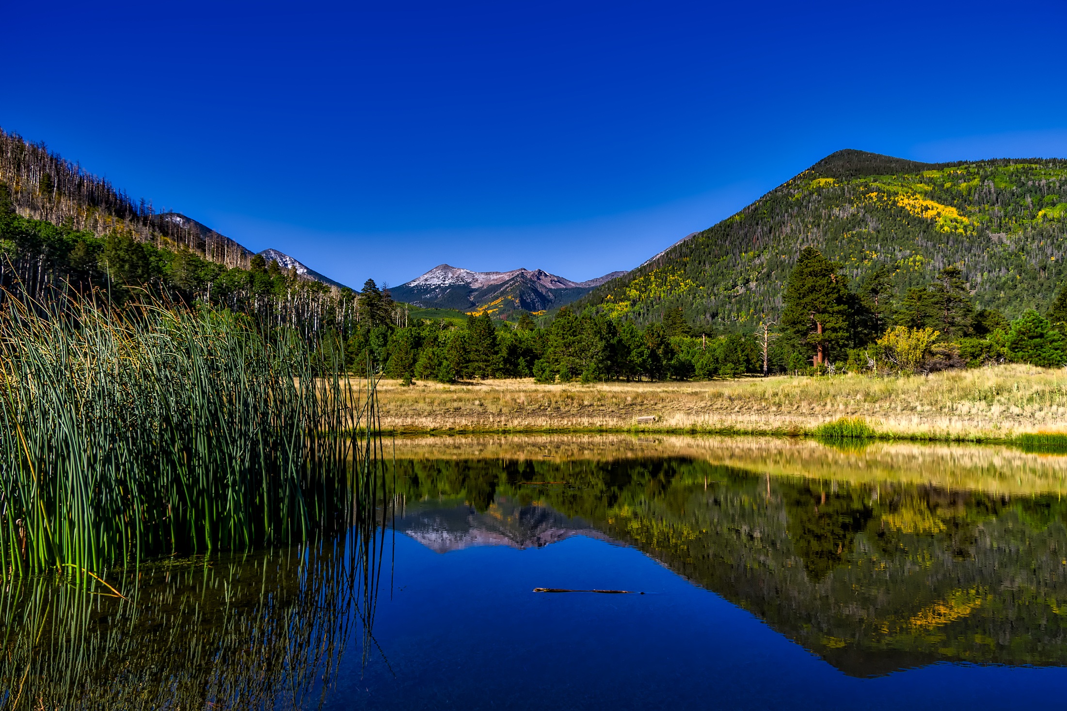pine woodland, lake, country, mountain range, grass, wilderness, water, pond, environment, reflections, pine tree, autumn, colorful, foliage, no people, HD Wallpaper