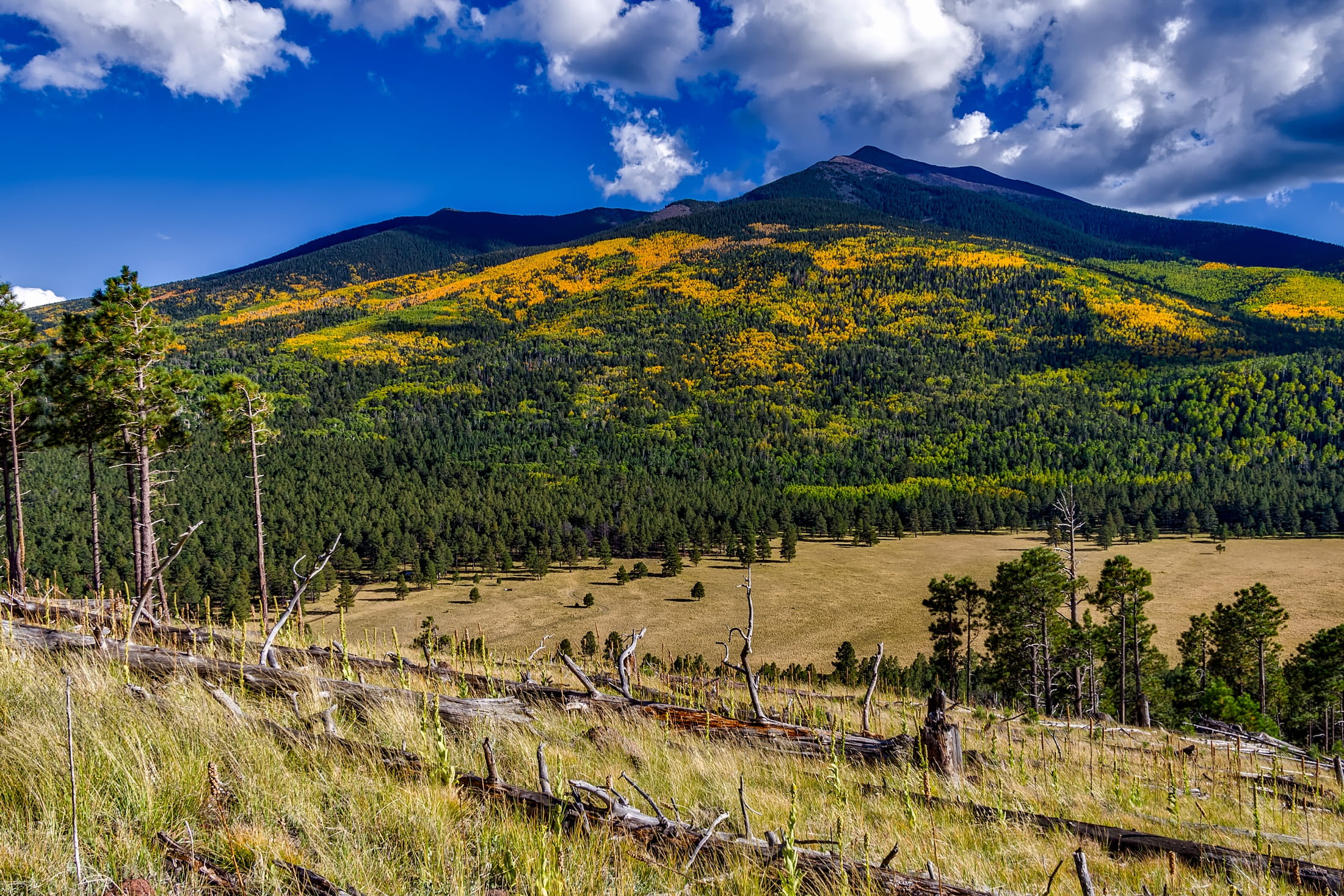 no People, mountain, beauty In Nature, outdoors, scenics - nature, fall, grass, growth, country, Coconino National Forest, cloud - Sky, woods, nature, mountain range, HD Wallpaper