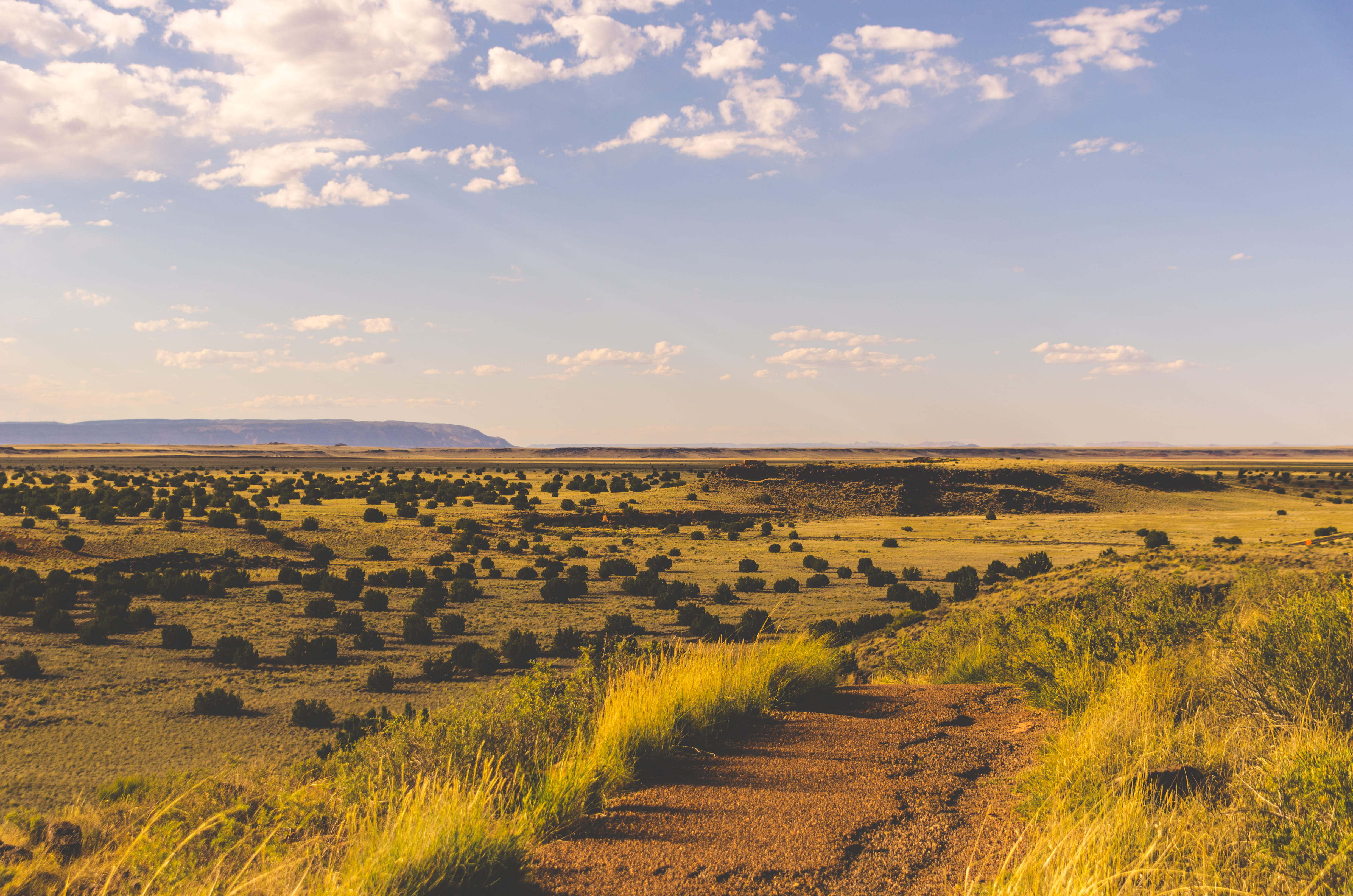 national parks, non-urban scene, growth, trail, grass, wupatki national monument, tranquility, united states, scenics - nature, blue sky, idyllic, beauty in nature, HD Wallpaper