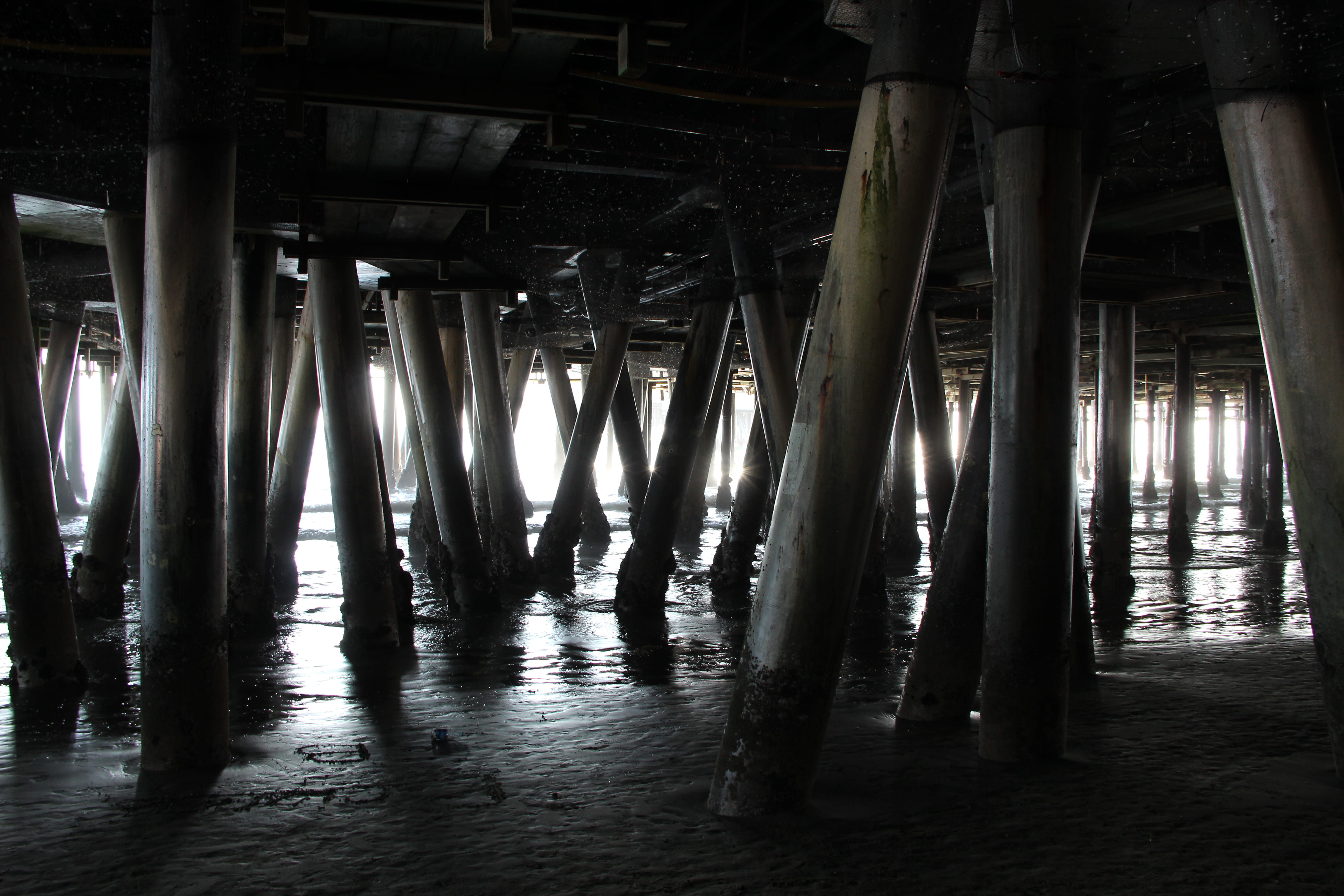 low section, california, beach, low angle view, usa, stilt, illuminated, holidays, 5K, no people, united states, sunset, flooring, pier, building, foundations, HD Wallpaper