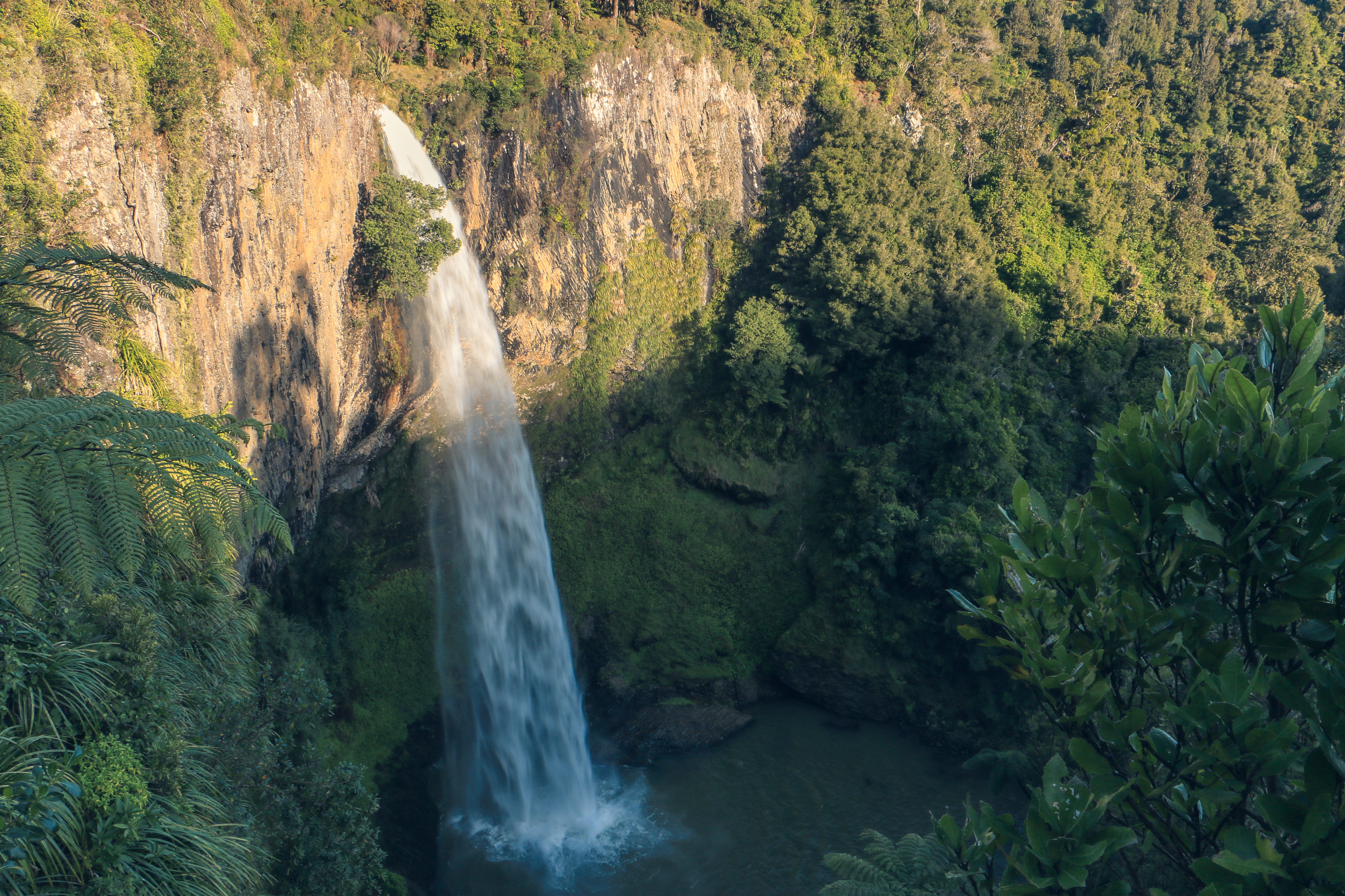 outdoors, green color, new zealand, blurred motion, environment, lush foliage, 5K, west coast, non-urban scene, falling water, beauty in nature, long exposure, HD Wallpaper