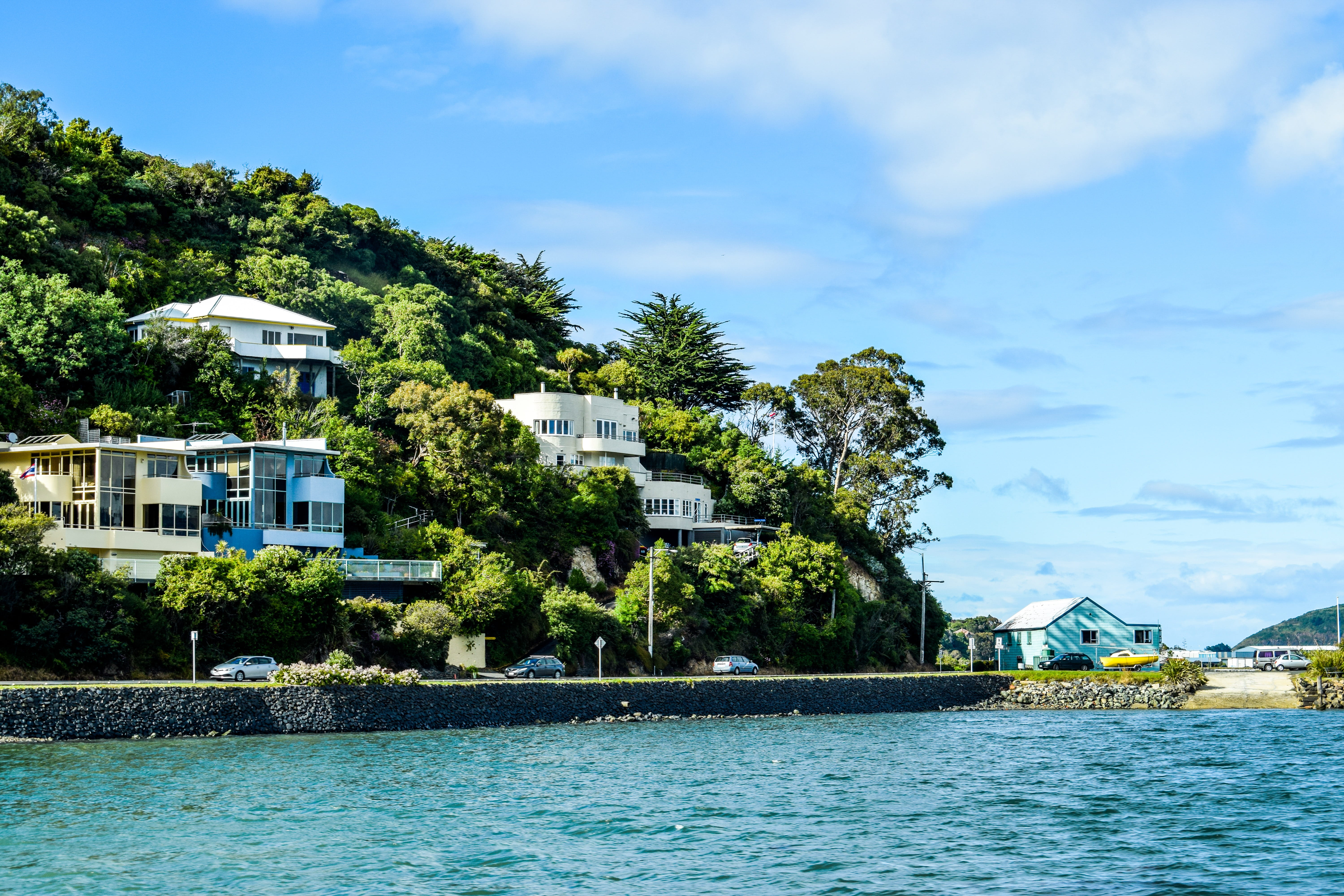 turquoise, nature, water, New Zealand, holiday, magnificent, built structure, sea, paradise, Dunedin, architecture, view into land, landscape, transparent water, HD Wallpaper
