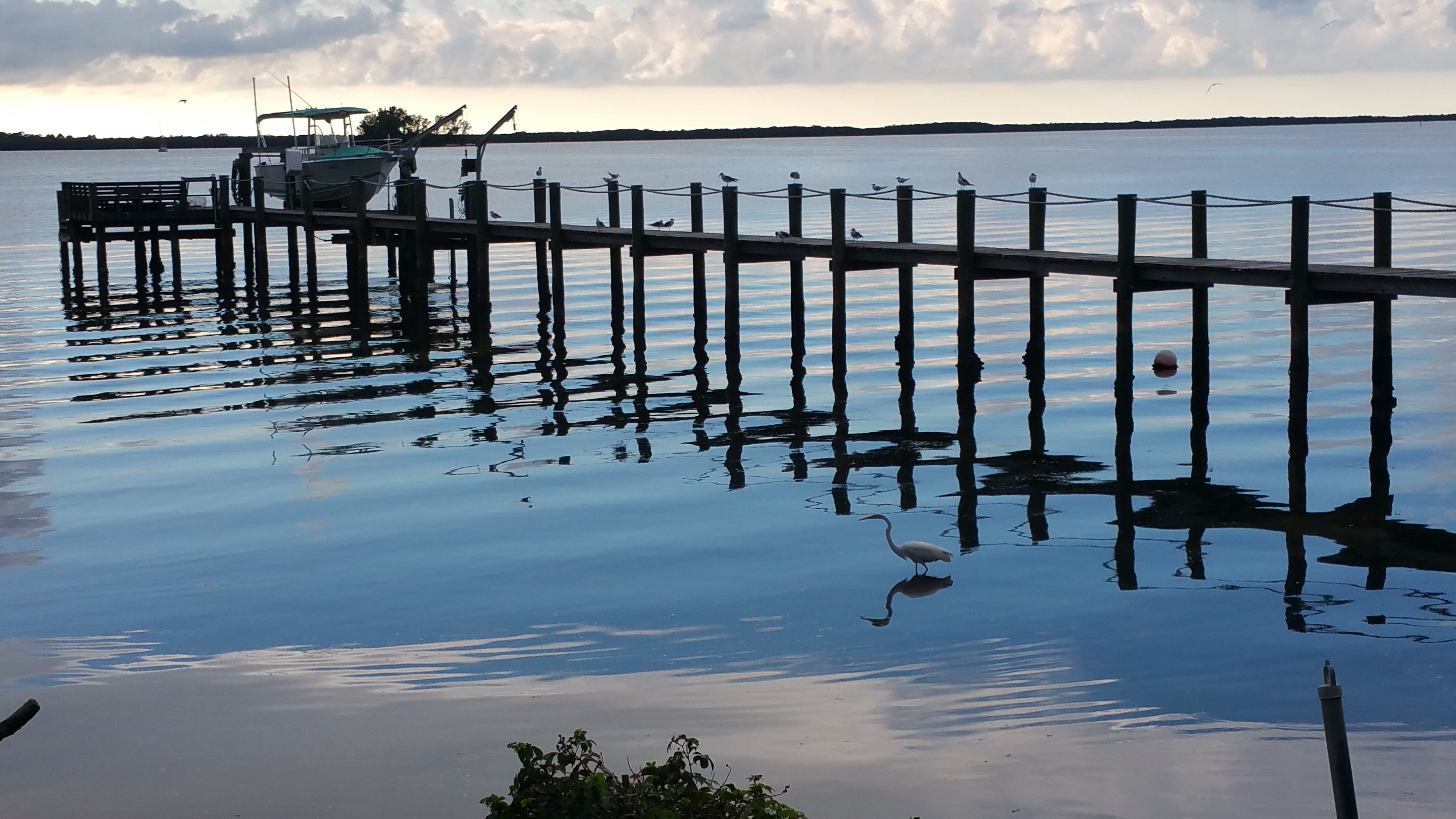 pier, wooden post, 5K, tranquil scene, outdoors, built structure, water, day, nature, lake, reflection, florida, no people, architecture, sky, waterfront, HD Wallpaper