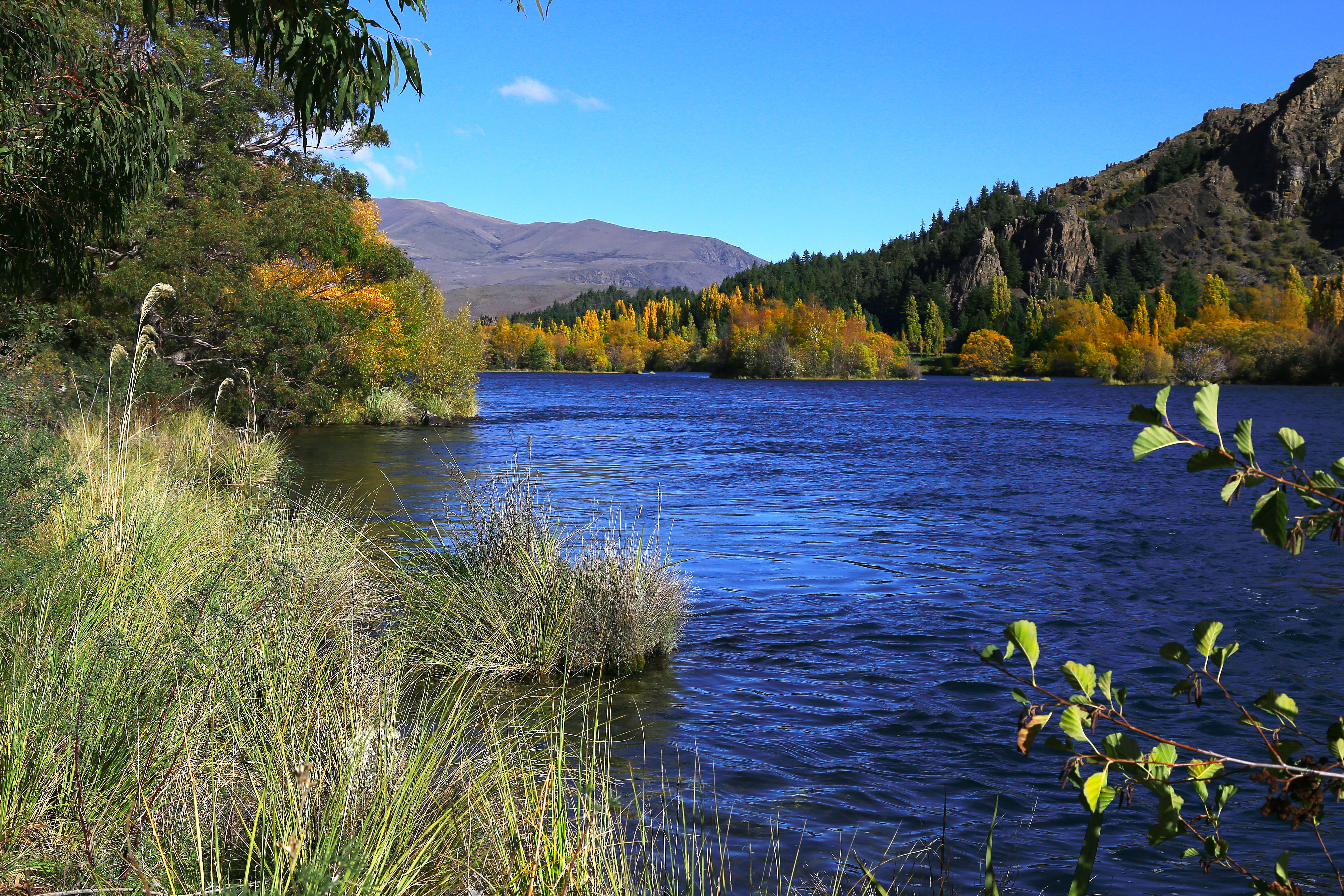 grasses, remote, sky, mountain, river, tree, hills, 5K, autumn, golden, mountain range, poplars, tranquility, non-urban scene, otago, recreation, water, HD Wallpaper