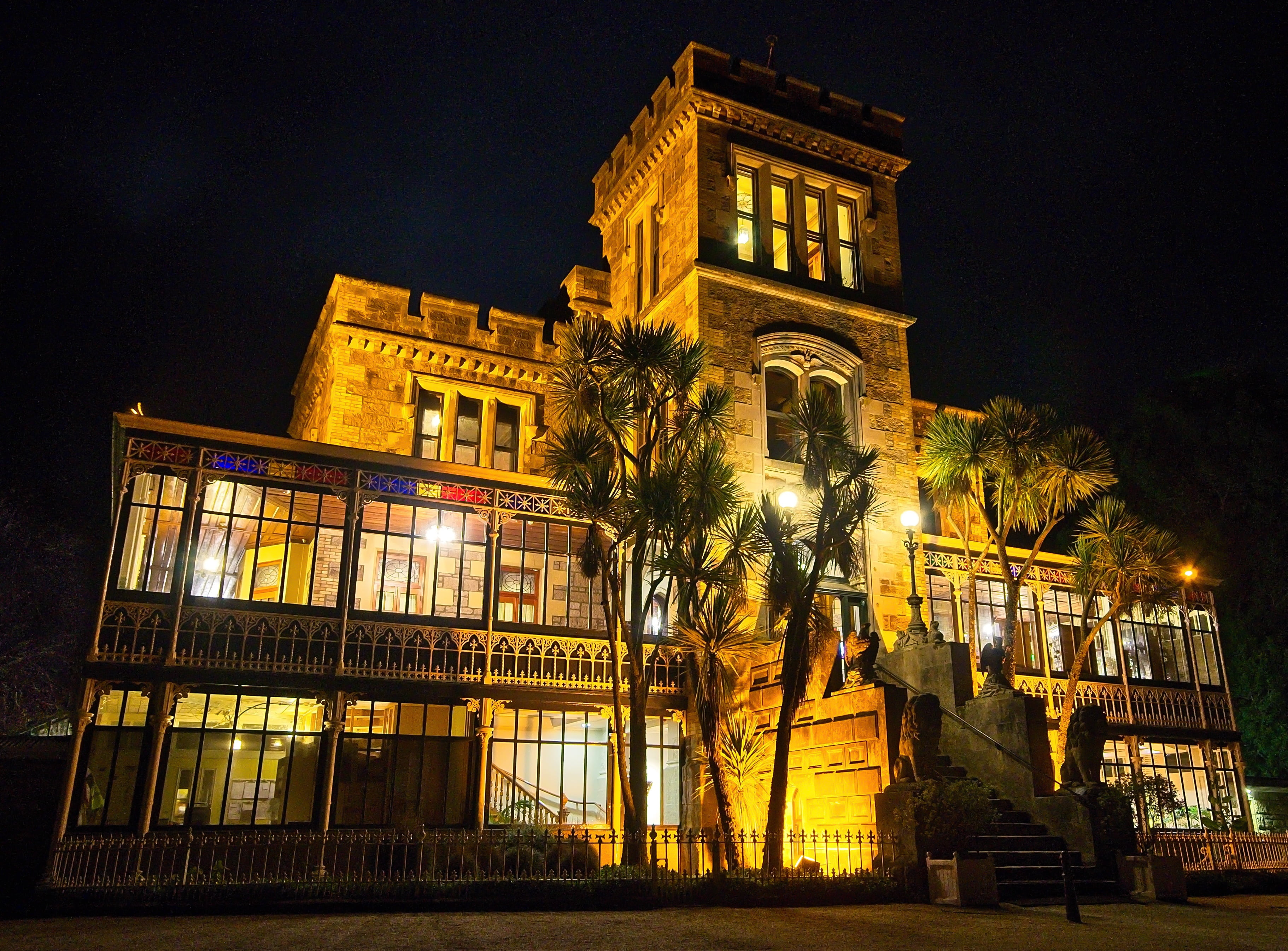 city, building, castle, nature, historical, no people, night, plant, building exterior, nightlife, tree, history, attraction, travel, larnach, larnach castle, HD Wallpaper