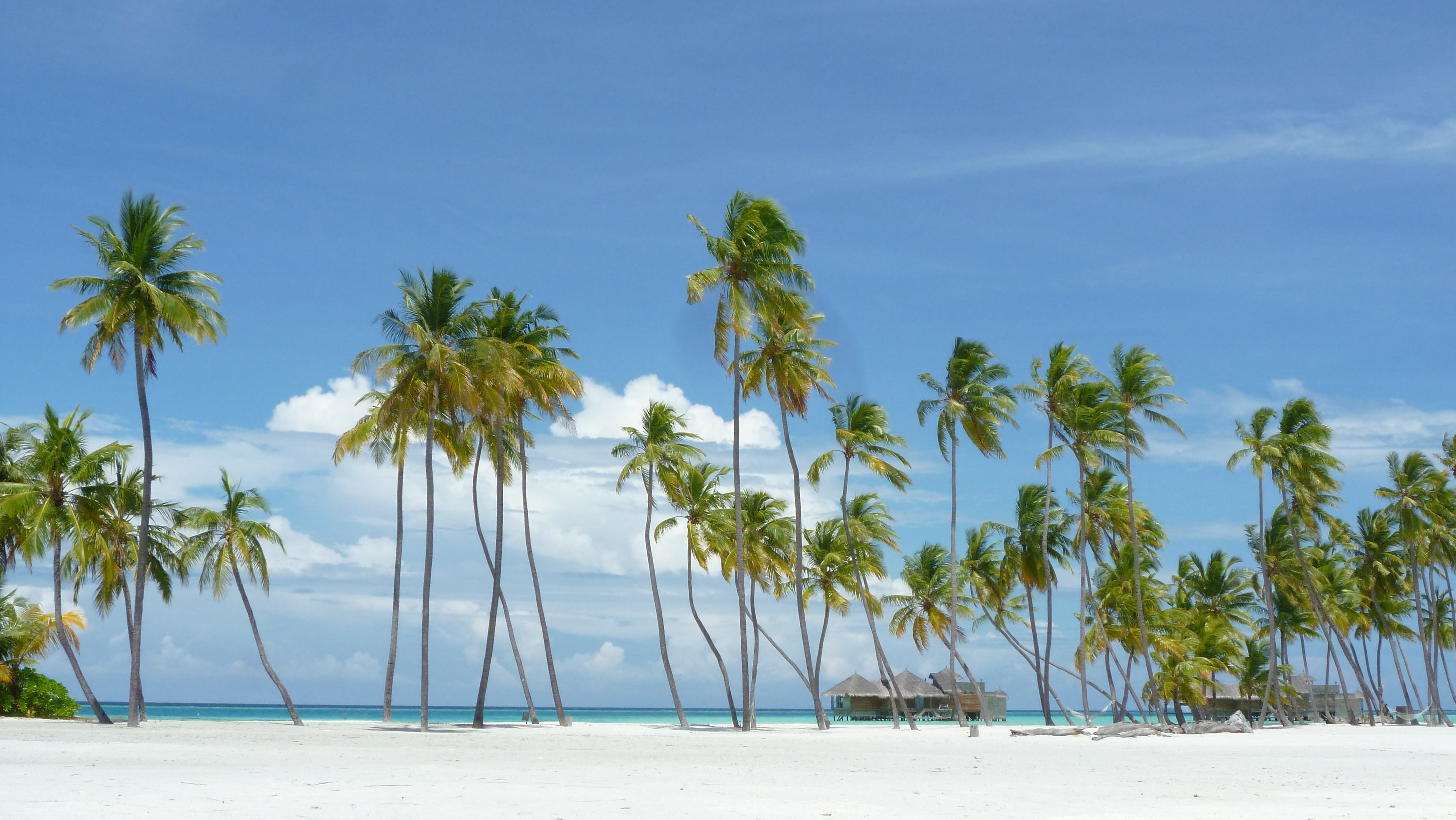 water, scenics - nature, lankanfushi, beach, nature, no people, maldives, sea, tranquil scene, cloud - sky, coconut palm tree, sky, ahead, island paradise, HD Wallpaper