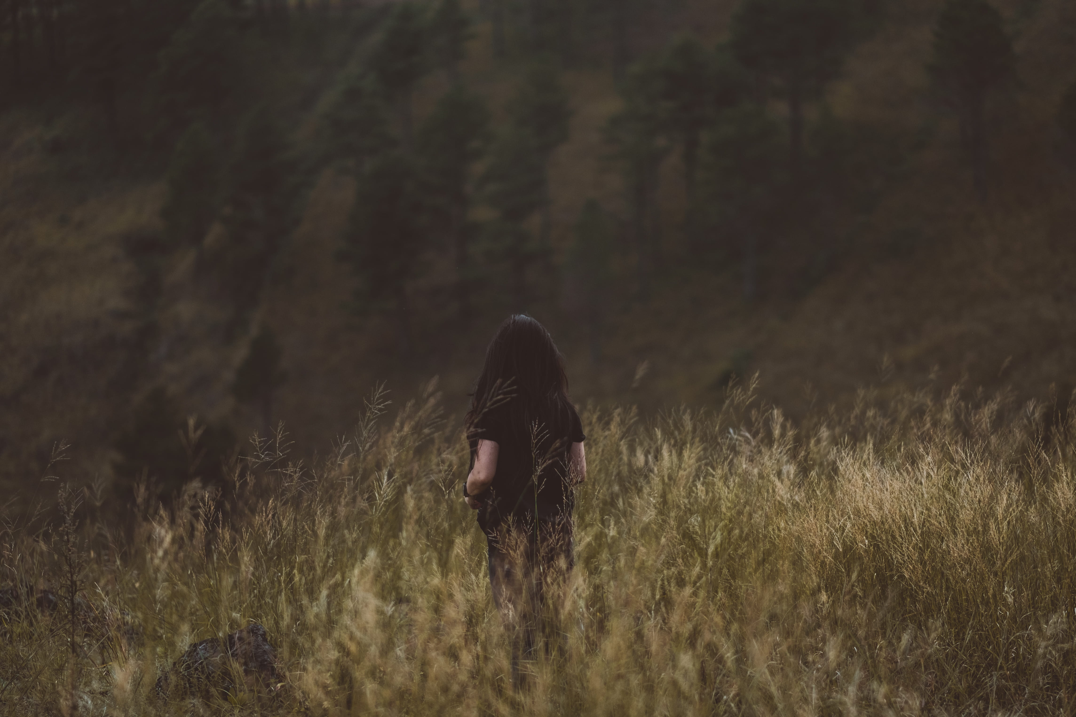4K, walking, plant, bushes, hair, full length, top, leisure activity, men, grass, field, ahead, Wilderness, obscured face, person, people, hairstyle, nature, HD Wallpaper