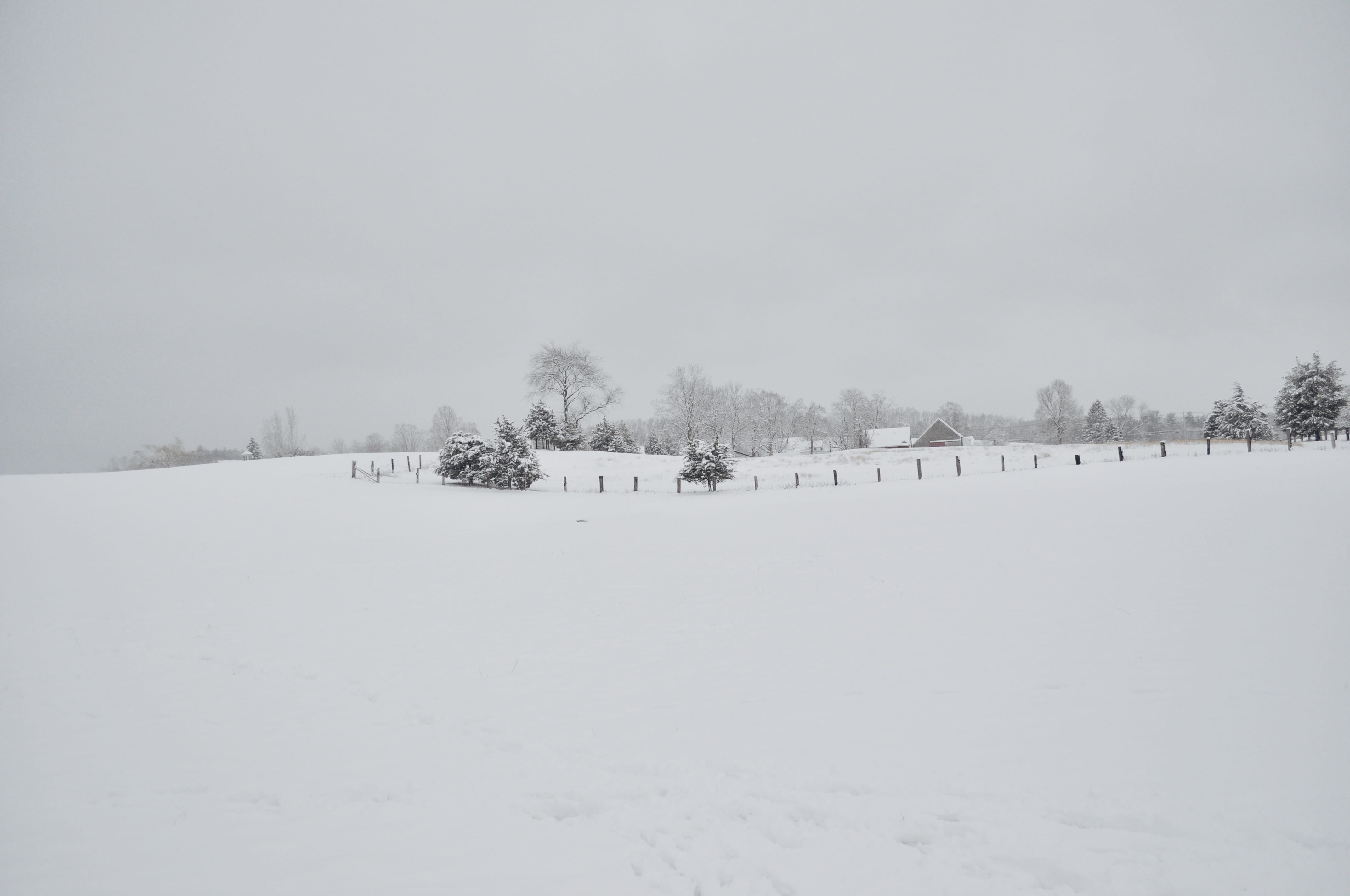 day, outdoors, environment, snow, plant, sky, tranquil scene, scenics - nature, covering, tranquility, snowing, tree, ahead, field, house, winter, trees, HD Wallpaper
