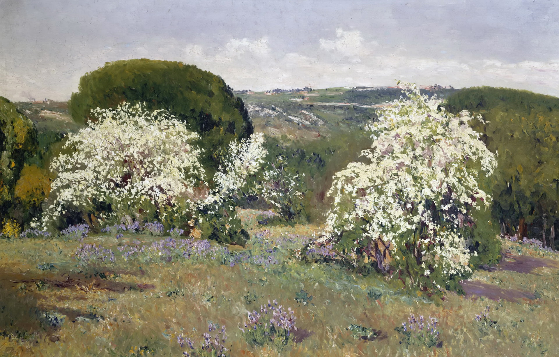 landscape, 1080P, Aureliano de Beruete and Moret, trees, picture, hills, flowers, spring, Flowering Hawthorn, the bushes, HD Wallpaper