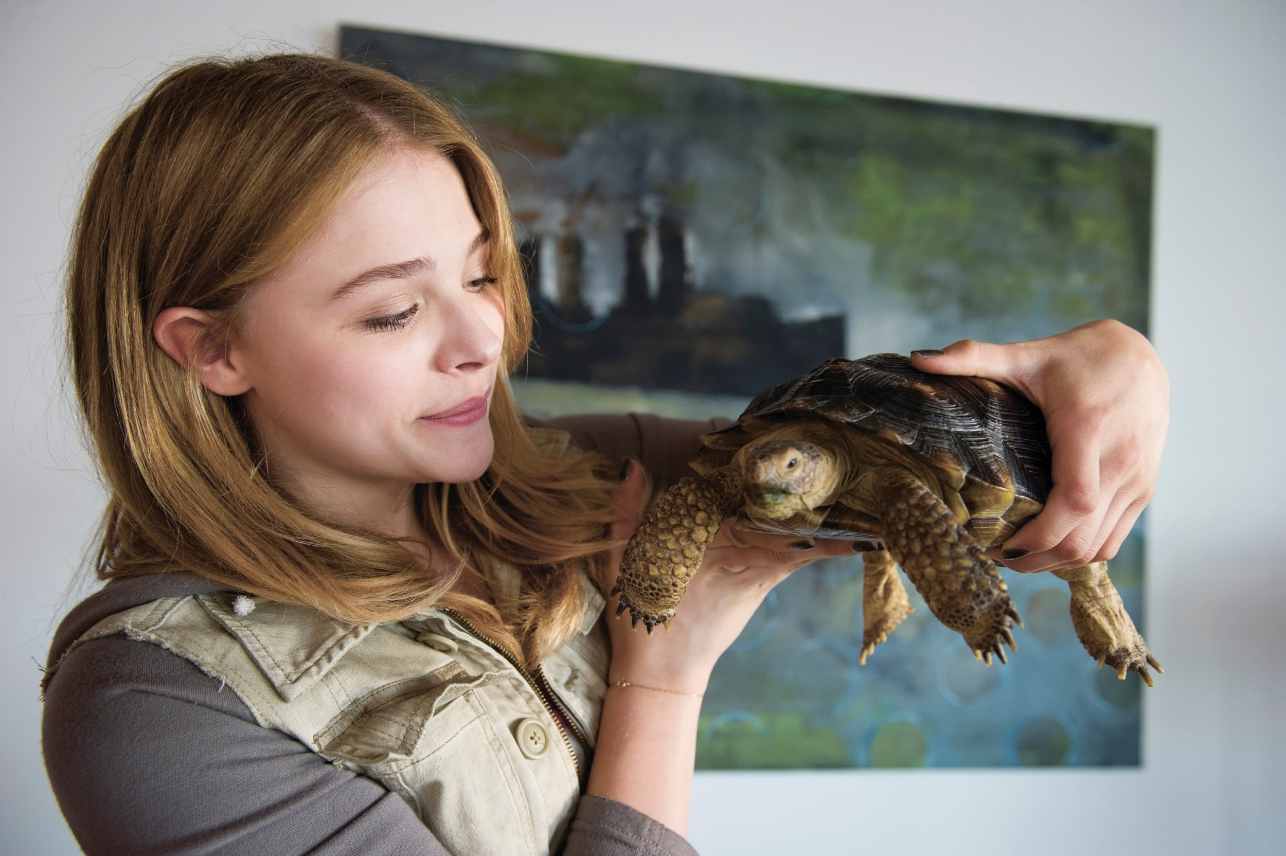 women animals turtle chlo grace moretz, 1080P, HD Wallpaper