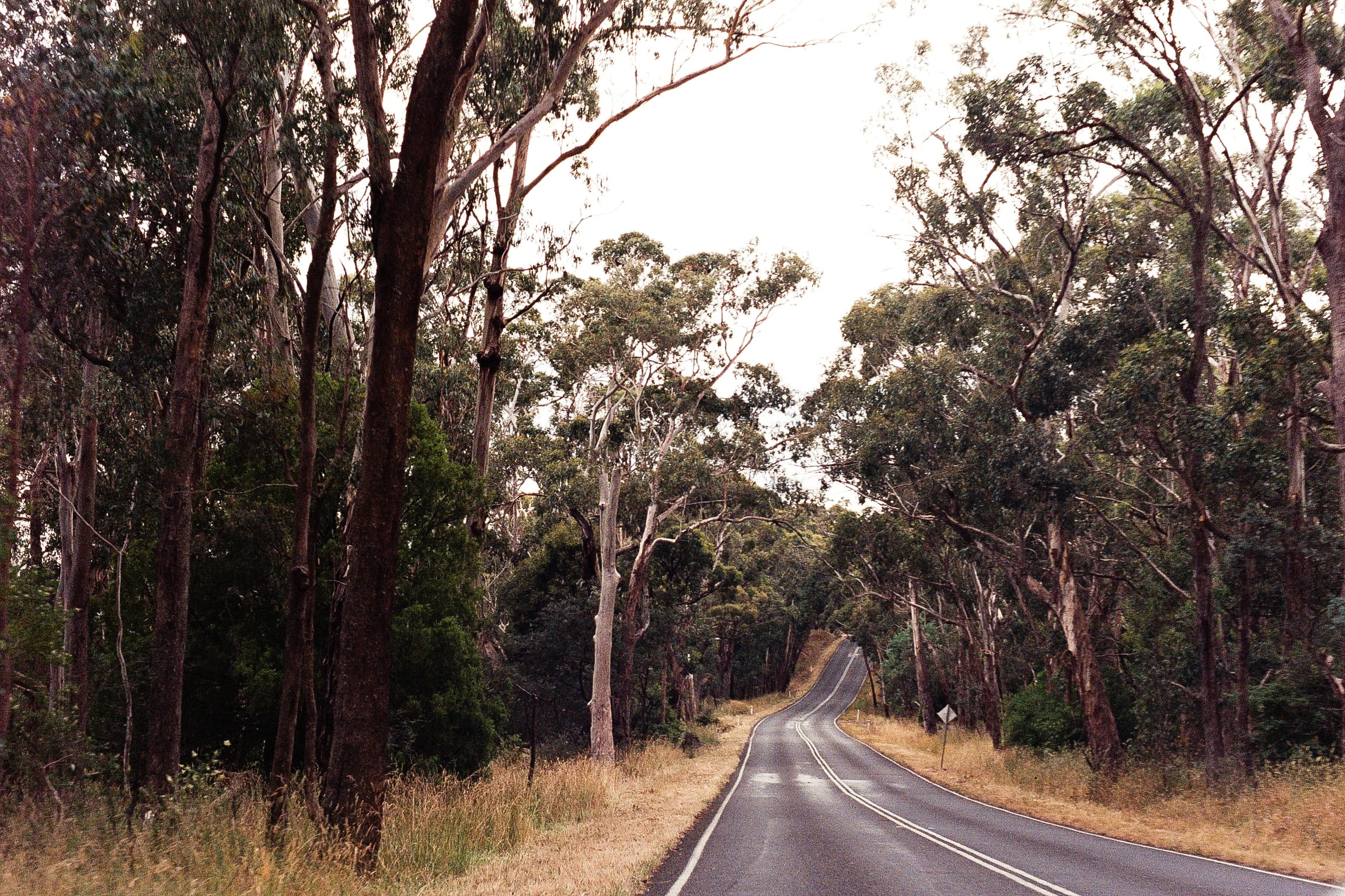 the way forward, analogue photography, diminishing perspective, 1080P, symbol, film, country road, empty road, dividing line, direction, tranquil scene, HD Wallpaper