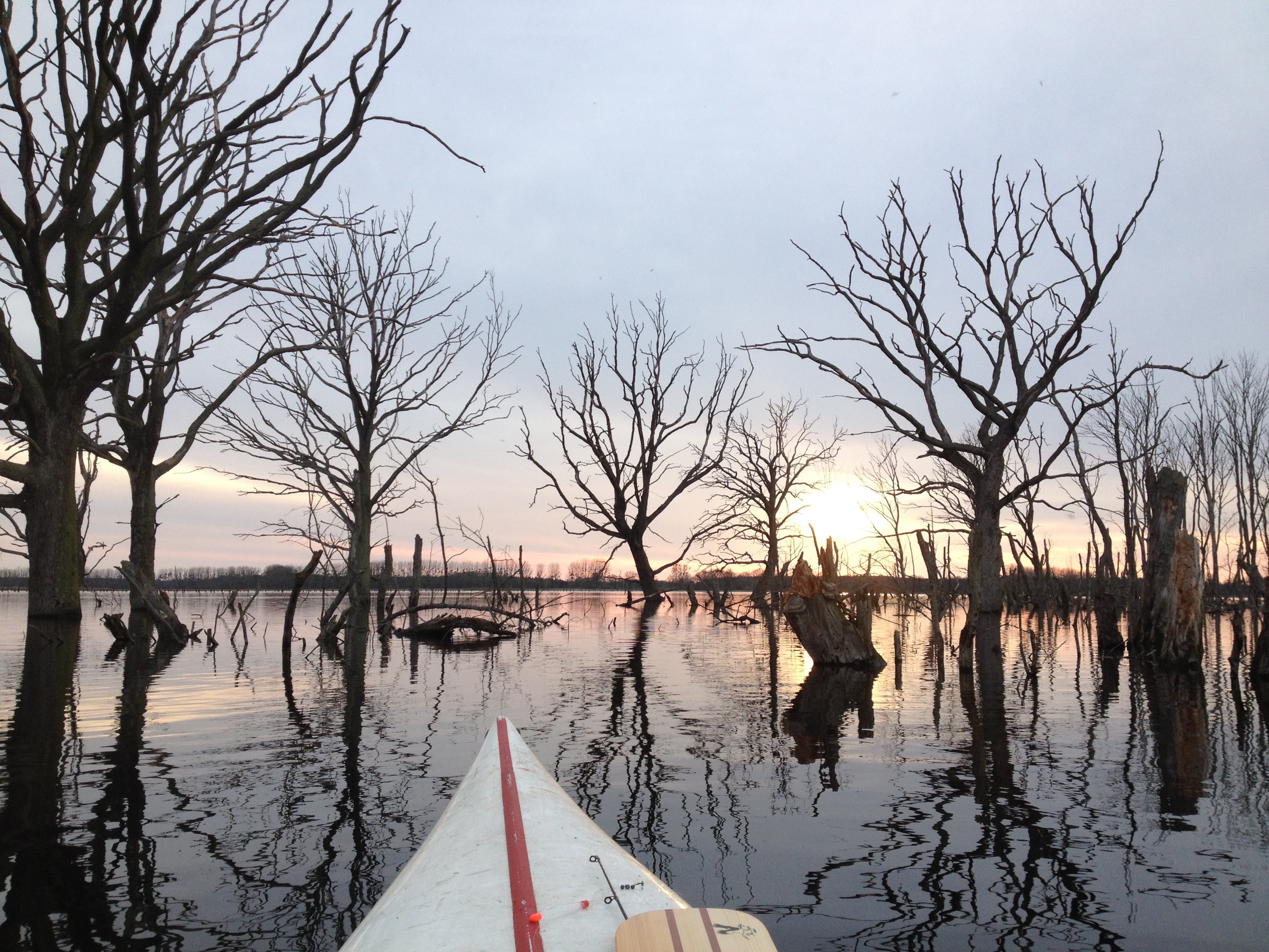transportation, tranquil scene, landscape, sky, canoeing, reflection, bare tree, lake, water, no people, day, tree, mode of transportation, beauty in nature, HD Wallpaper