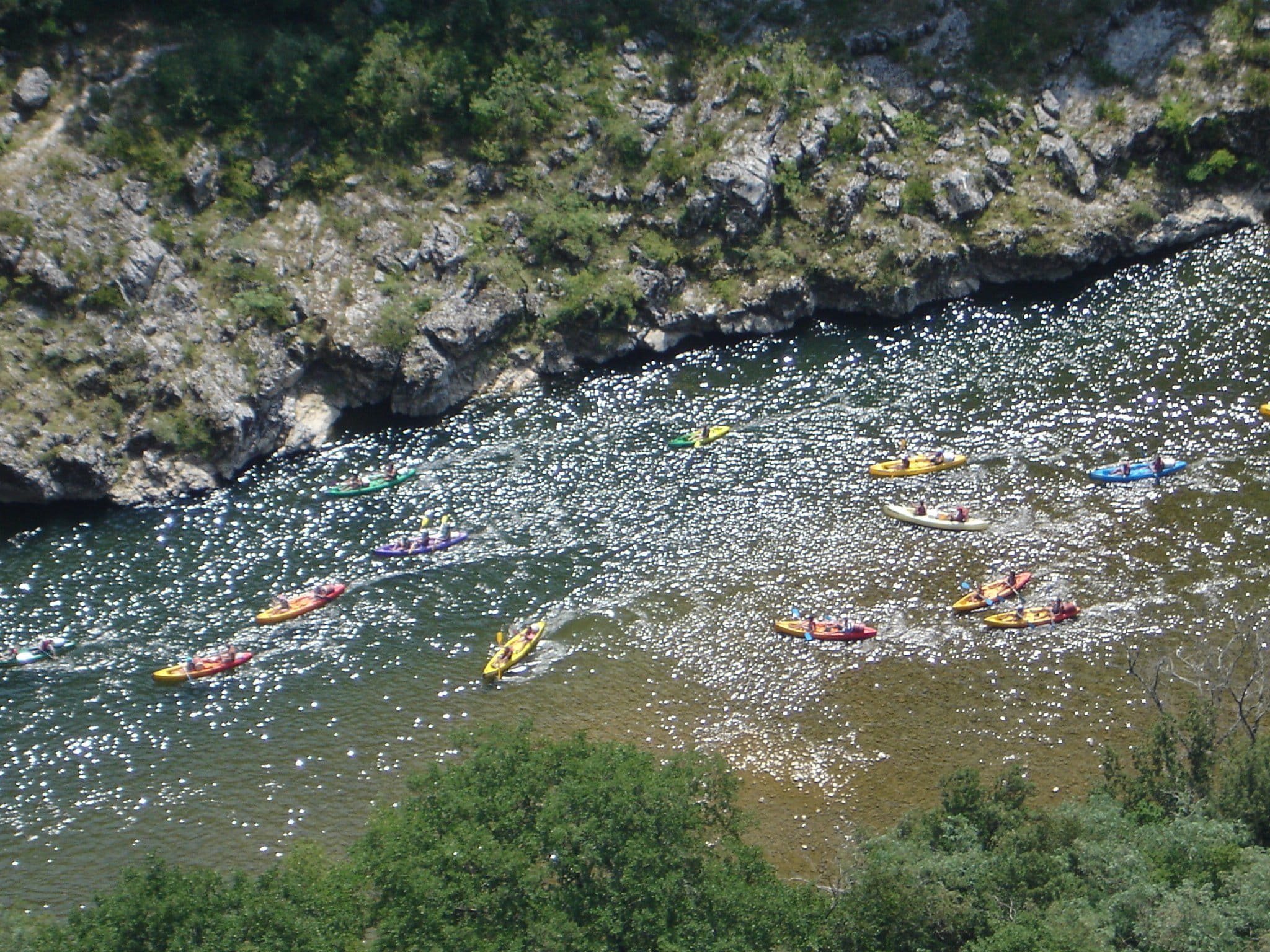 plant, animal, animals in the wild, leisure activity, high angle view, day, outdoors, tree, real people, river, sea, Paddle, france, water, animal themes, HD Wallpaper