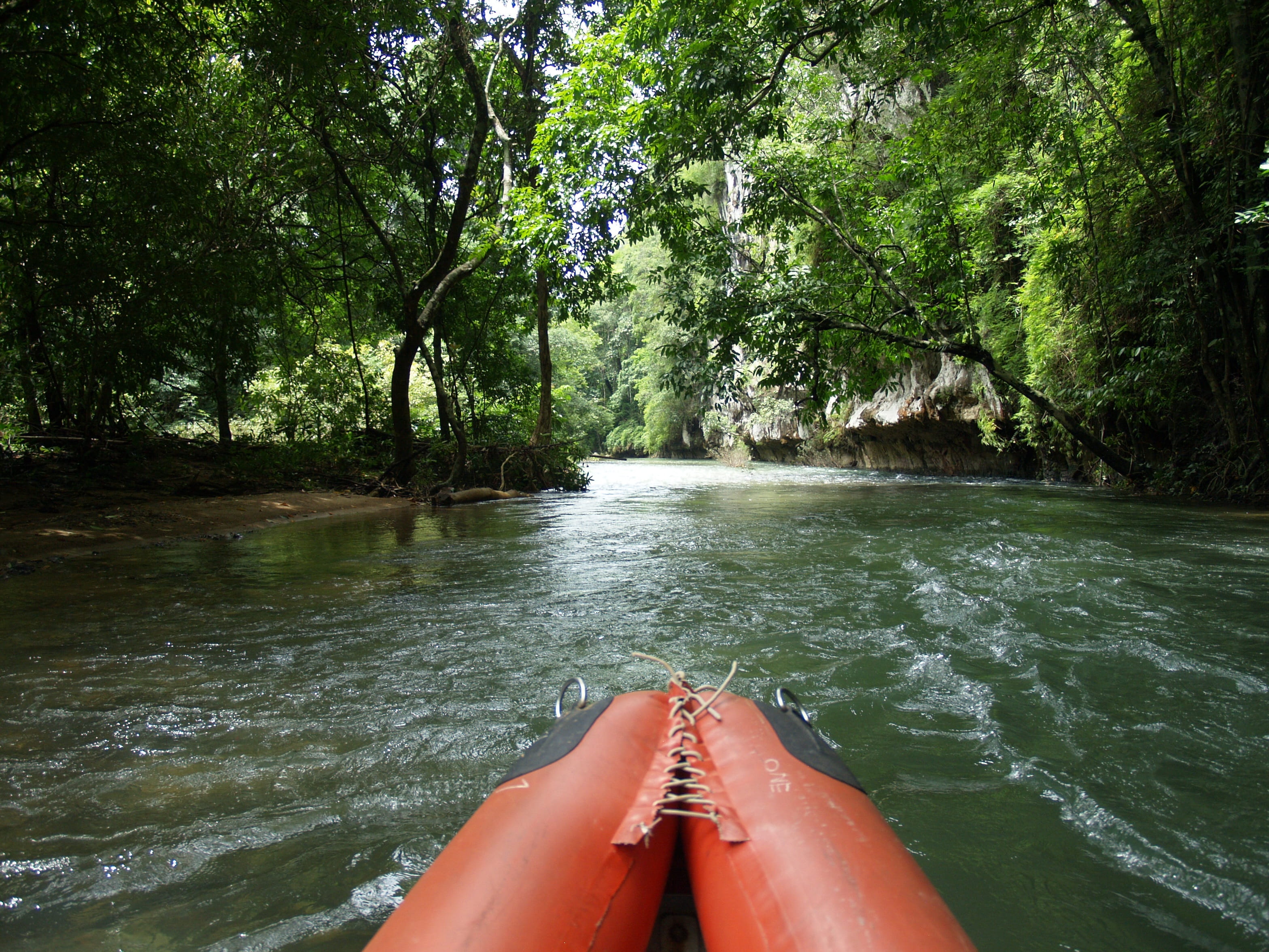 growth, relax, 2K, Boot, canoeist, forest, personal perspective, beauty in nature, human body part, outdoor, plant, Paddle, Water, nautical vessel, Canoeing, HD Wallpaper