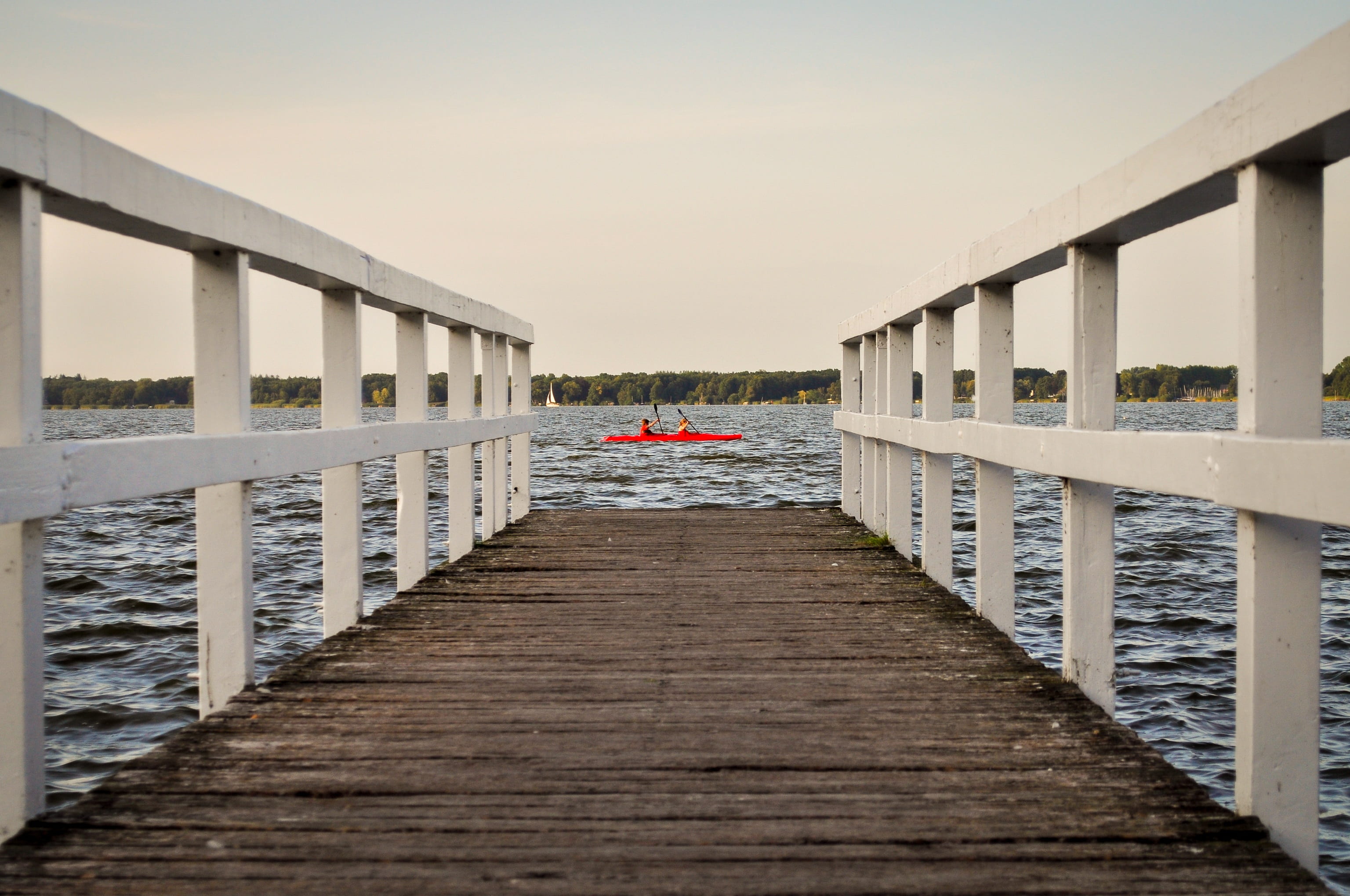 nature, diminishing perspective, footpath, autumn, water, deposited, paddle, 2K, idyllic, rest, background, still, wood, wood - material, investors, panorama, HD Wallpaper